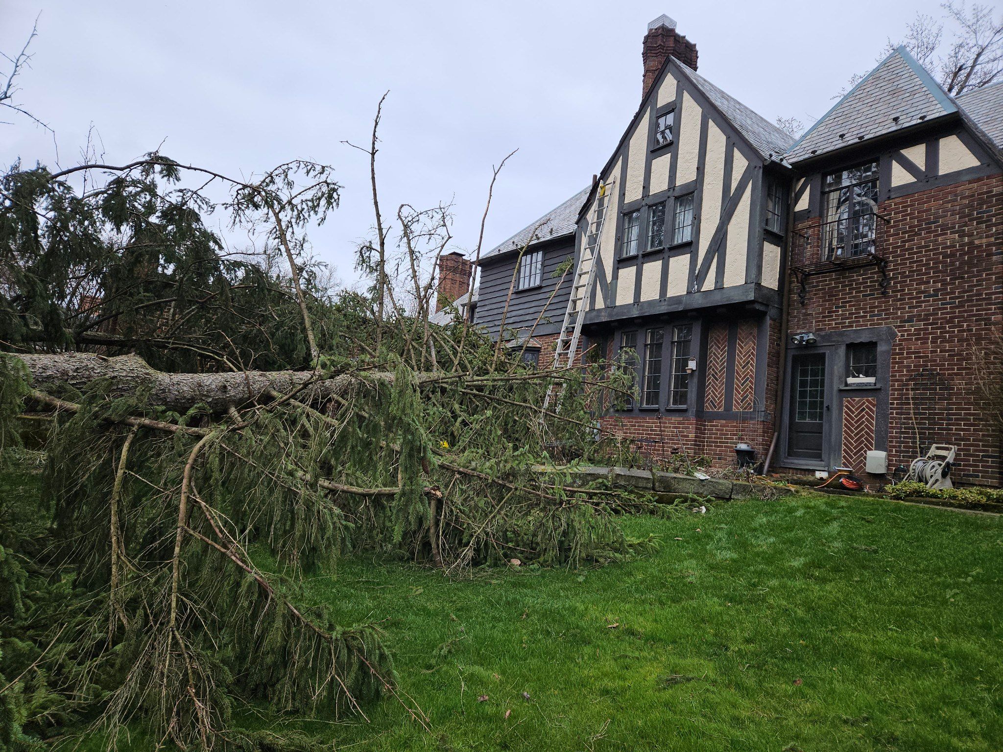 Tree Removal using Tree Removal by Mike Jones & Sons Tree Service LLC 