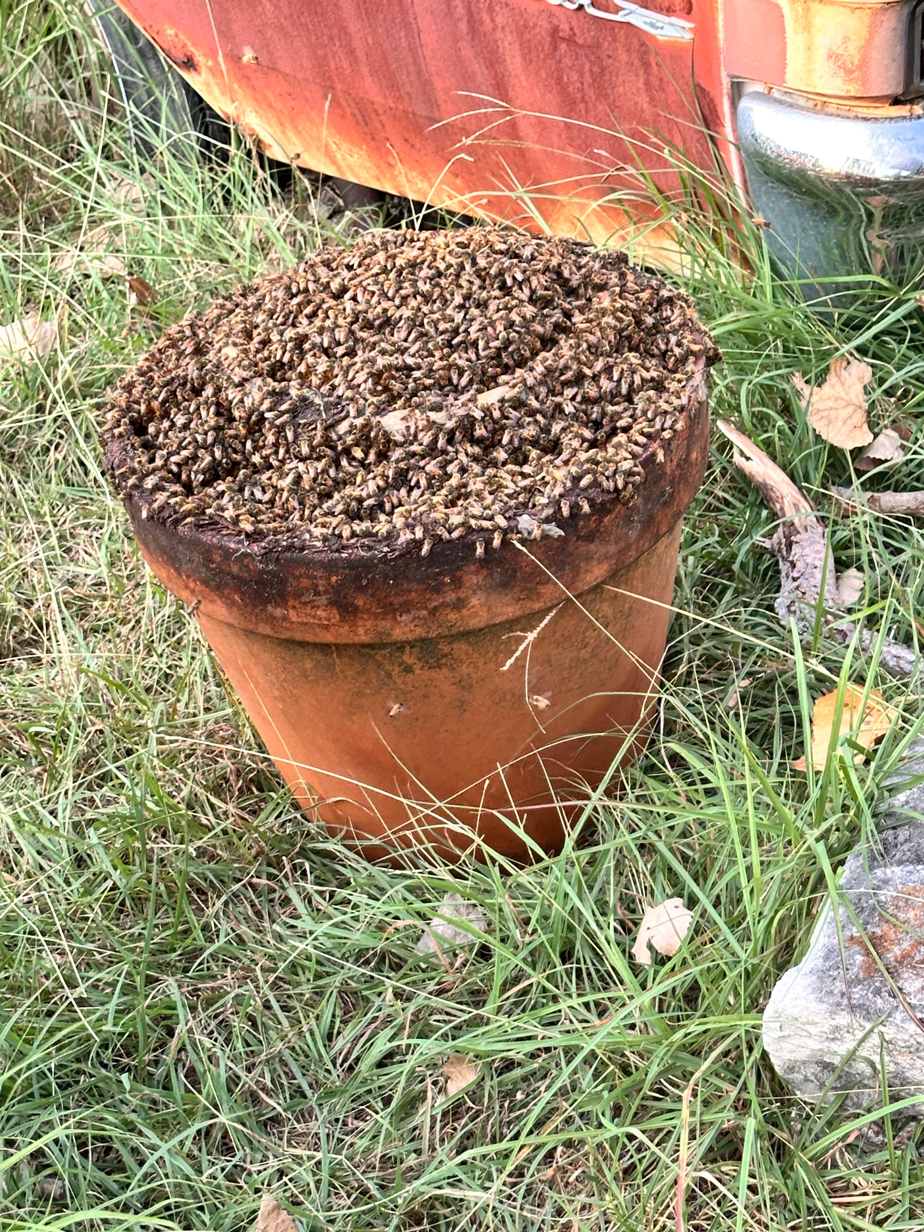 Pot-in-a-Pot by Rockwall Honey Bee Company