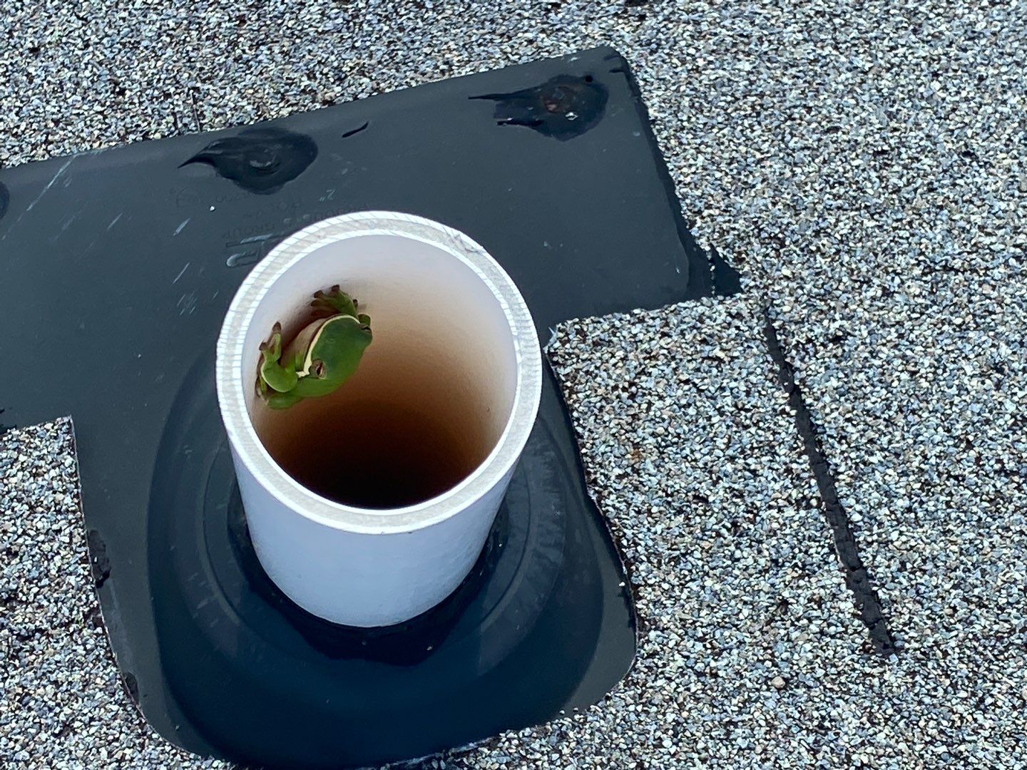 Roof Replacement by Antoine Building Company