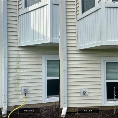 Project in Mundelein