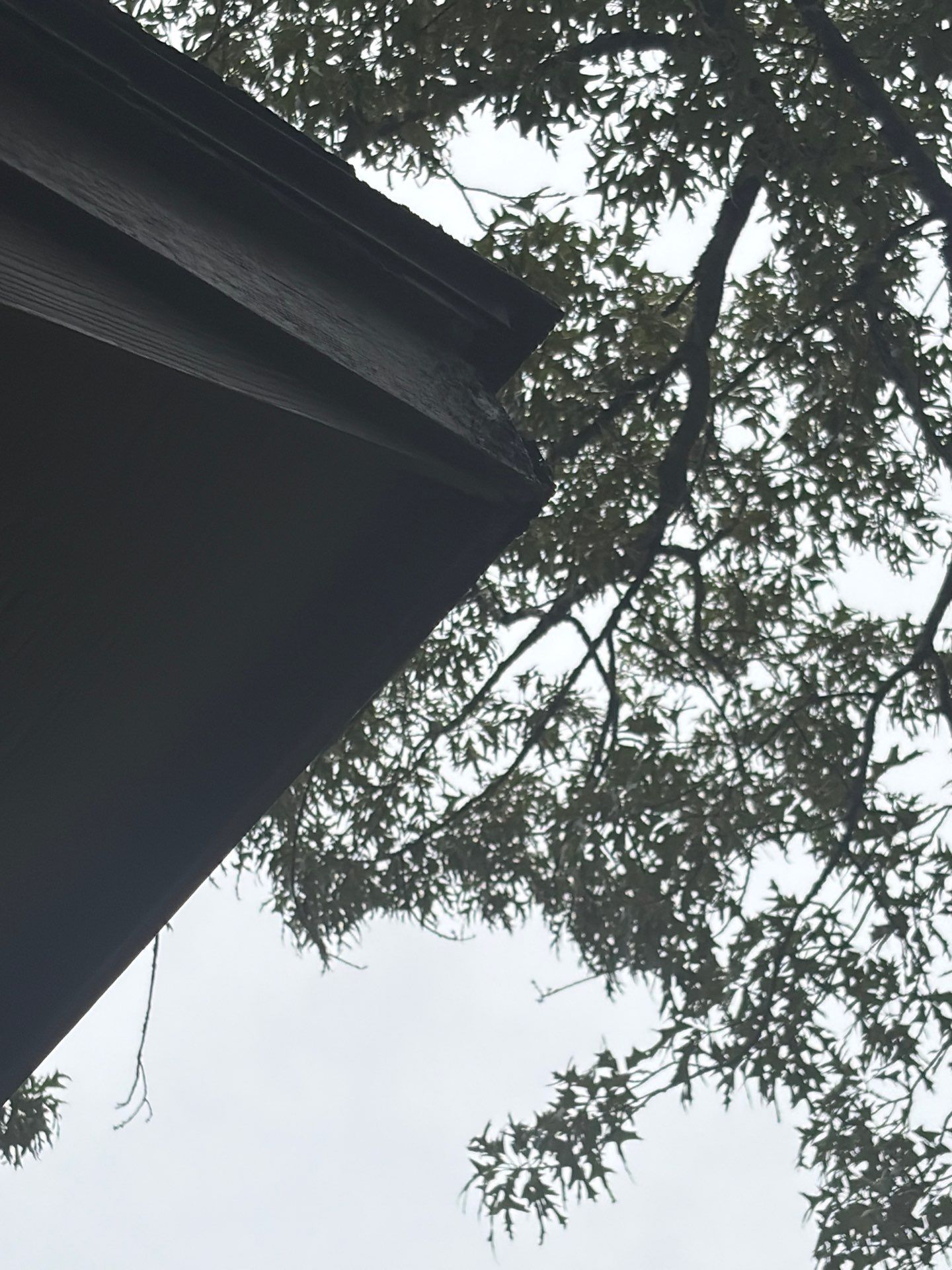 Lindale TX Home Gets New Look With Paint Update by Quality Coats Painting