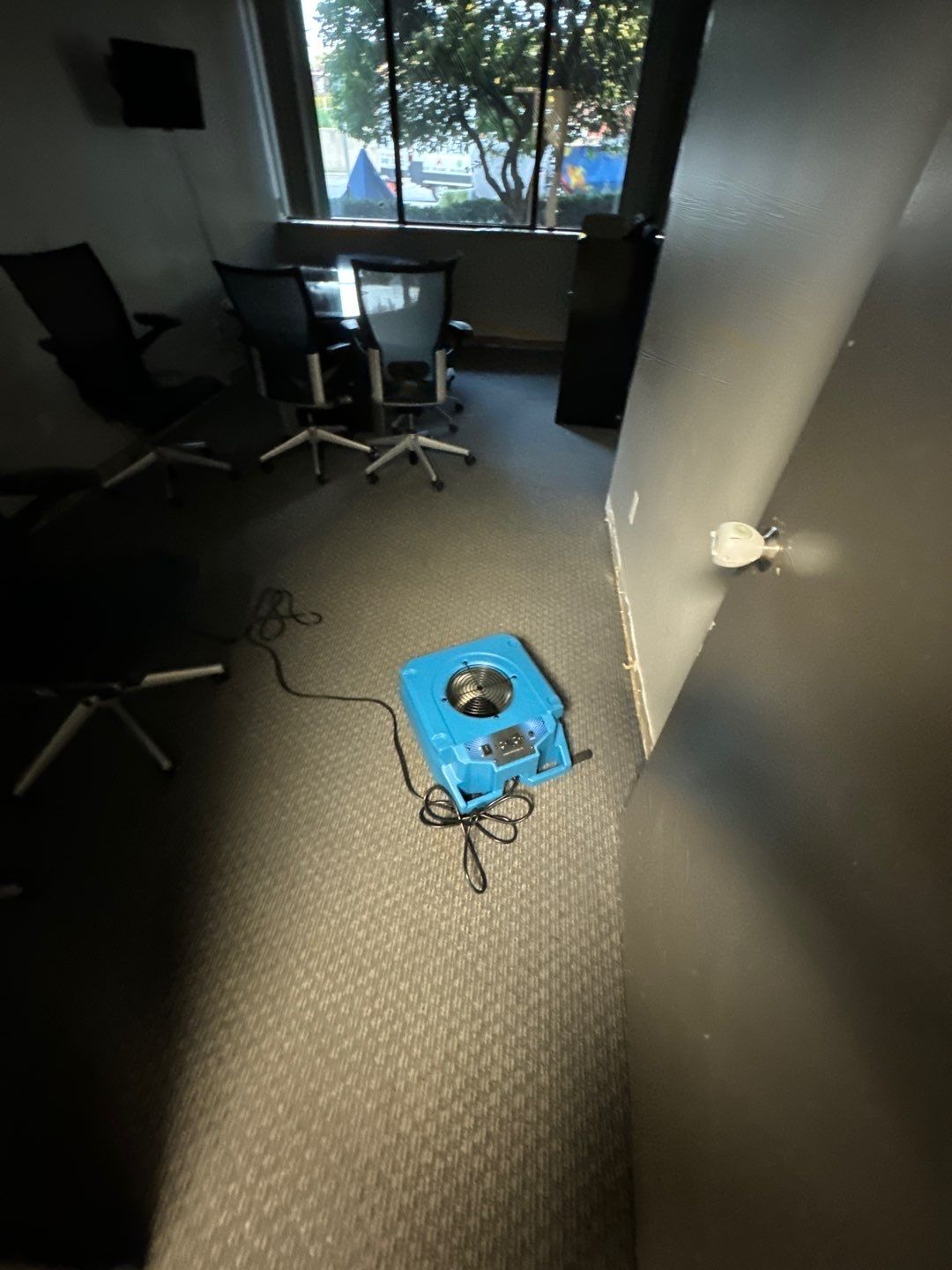 Project in Warren by EzDry Water Mitigation & Property Restoration