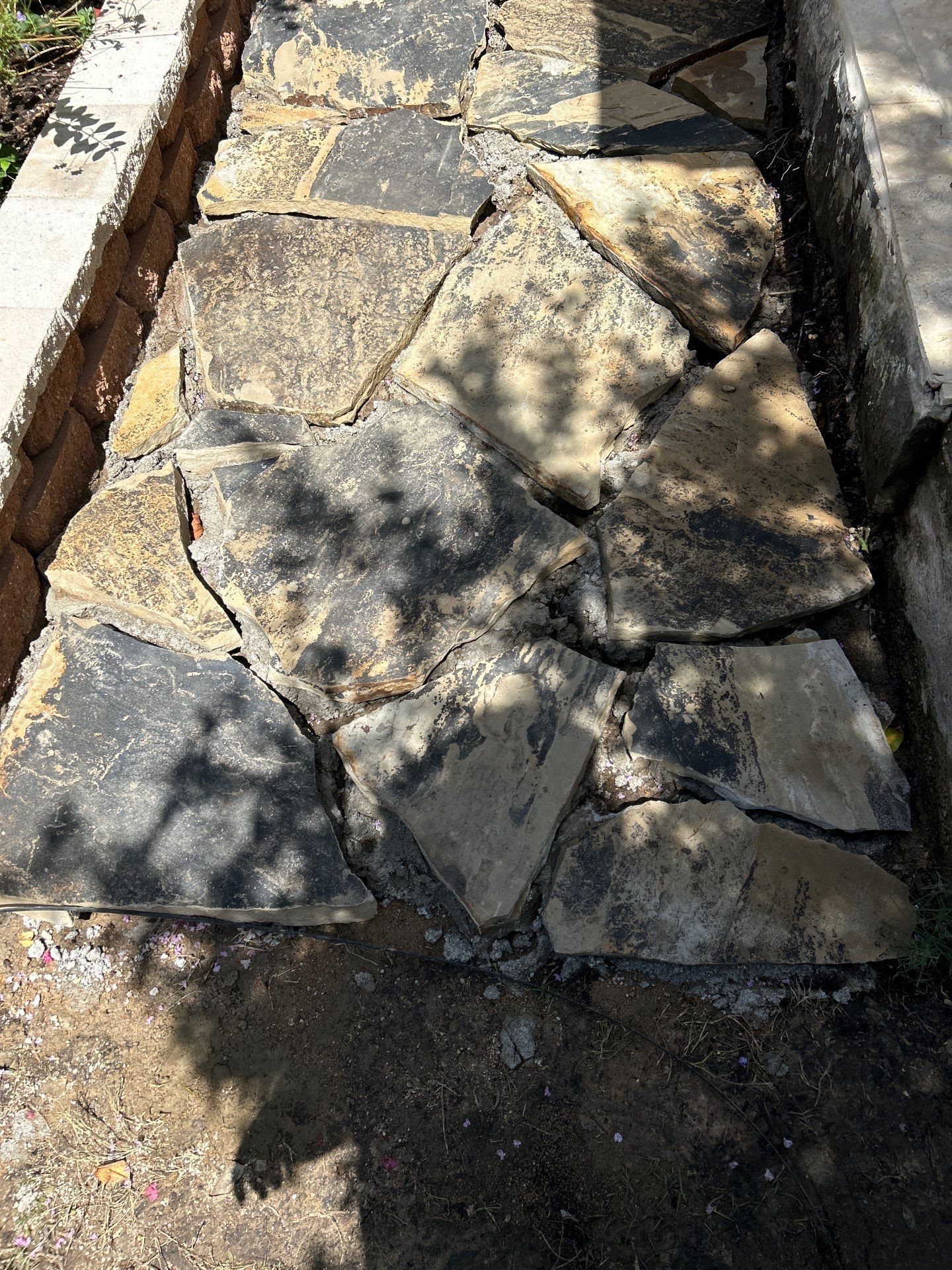 🌿 Pamela’s Backyard Makeover by Texas Urban Elements