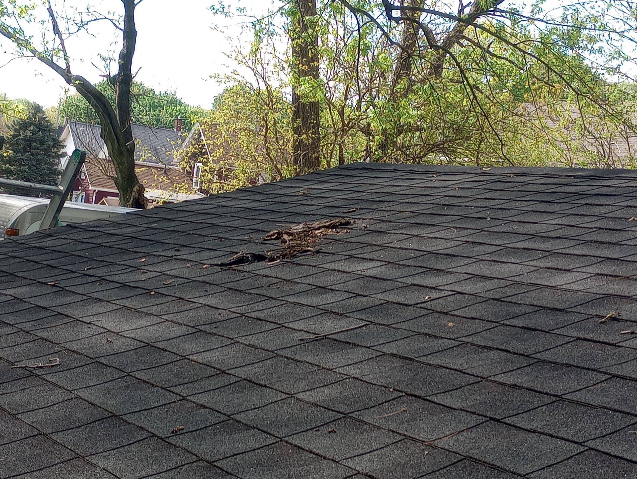 Linda Fowler by Silver Leaf Contracting 