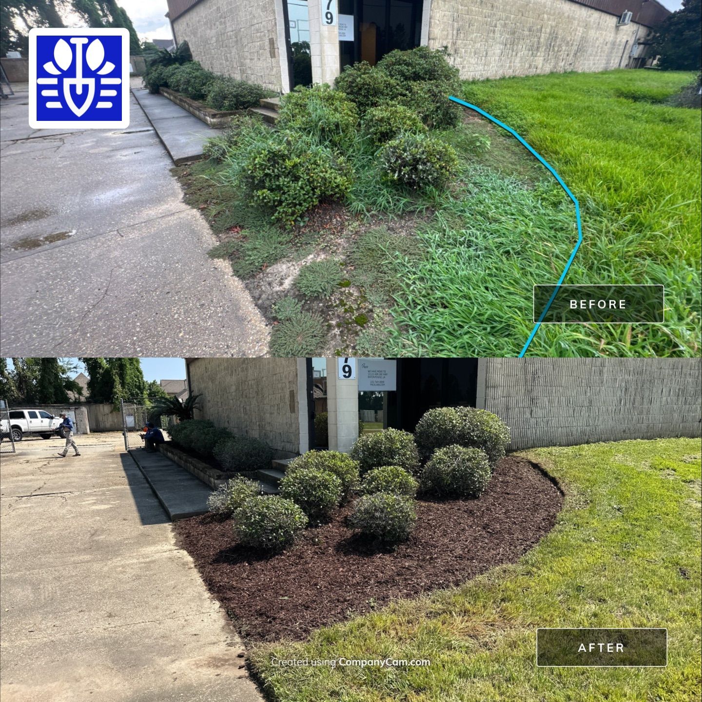 COMMERCIAL LAWN MAINTENANCE: ONE TIME CUT & LANDSCAPE CLEAN UP by CutScape, LLC.