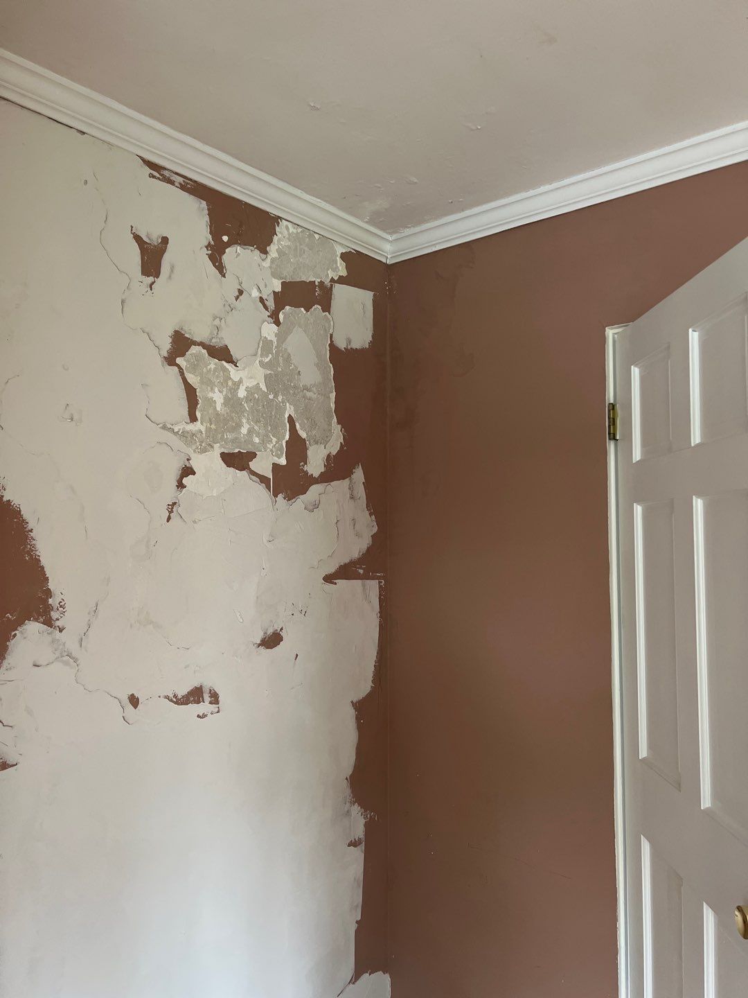 Roof Replacement in Lake Forest by Diamond Lake Exteriors