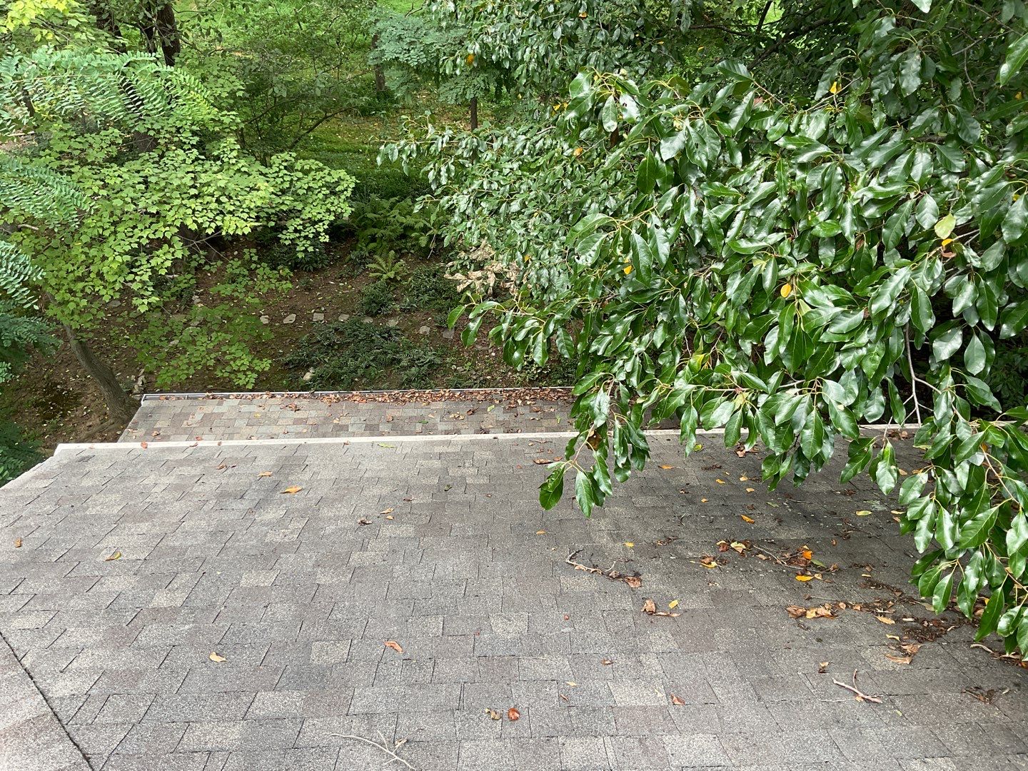 Install new shingles and new skylights  by Alpha Design Services