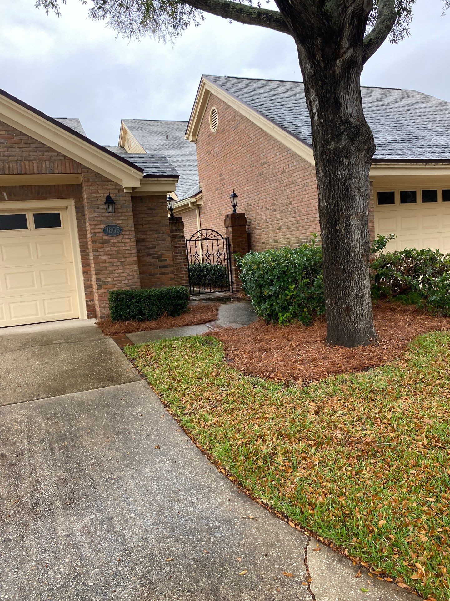 Deerwood Pointe | Tree Removal & Pine Straw Installation by ProGreen Services