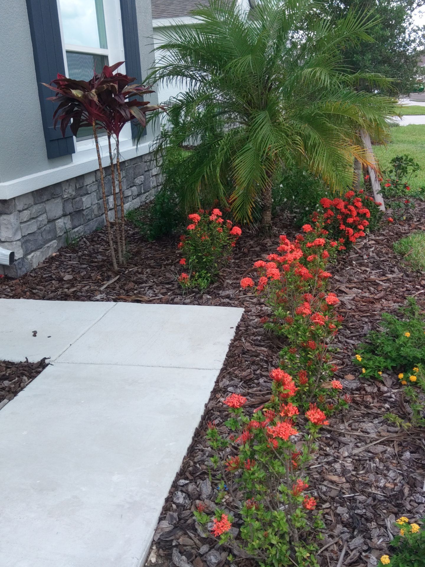 Gutter Cleaning & Maintenance in Lakewood Ranch FL by Gutter Professors