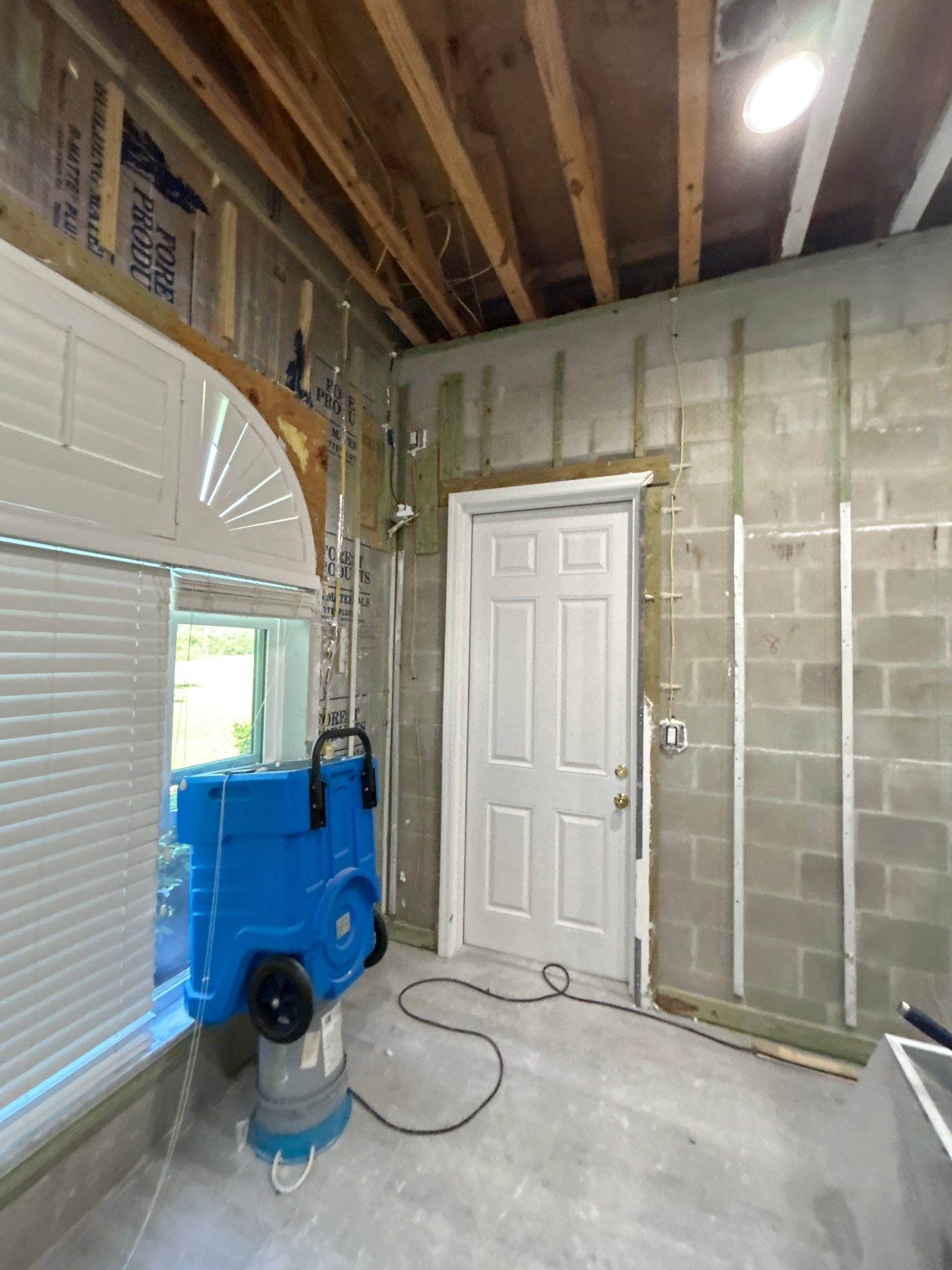 Mold Removal & Remediation In Sarasota by Ampm Restoration Services