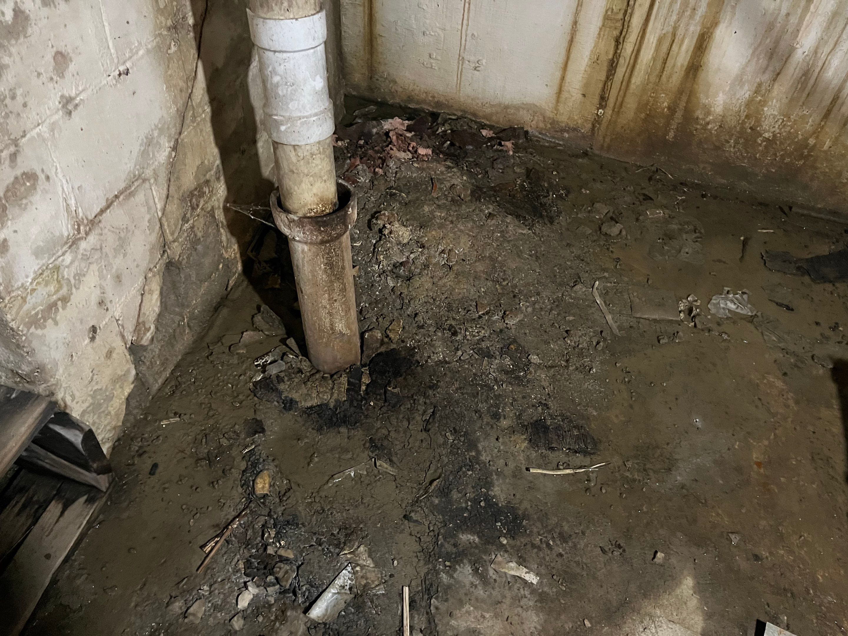 Basement Water Damage in New Albany, IN by ANR Restoration