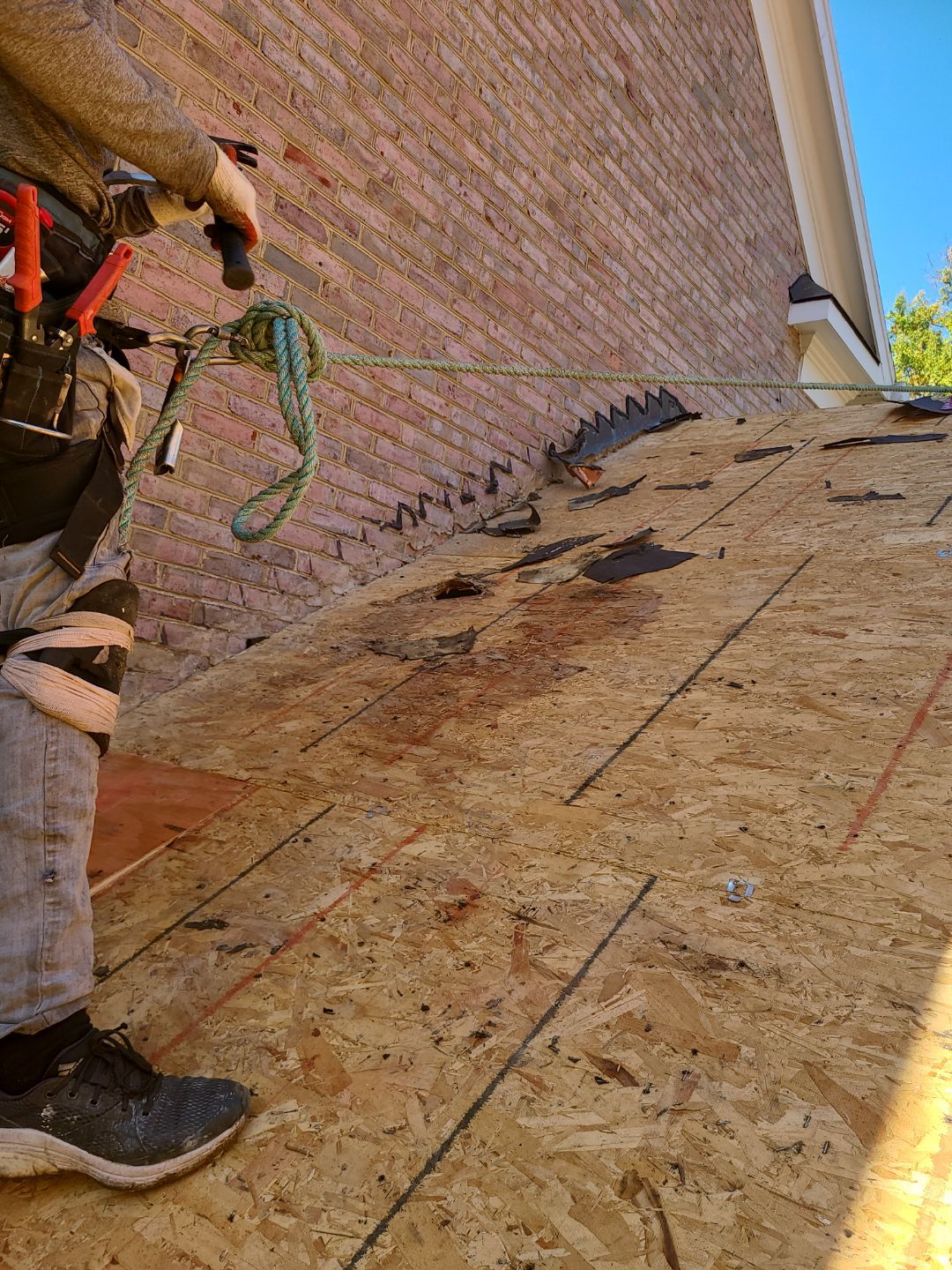 Alexandria: Residential Roof Replacement with CertainTeed Landmark Pro Designer Shingles in Max Def Moire Black by RM Banning, Inc.