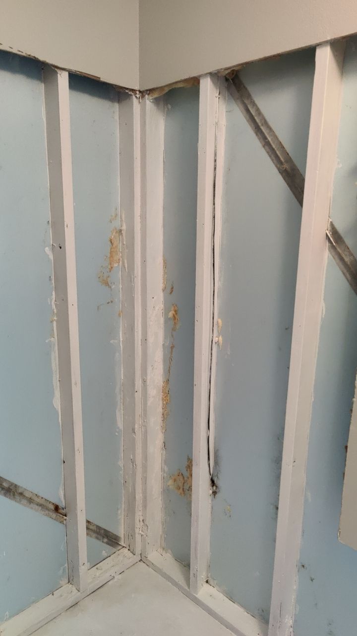 Water Damage and Mold Remediation by Accountable Home Services