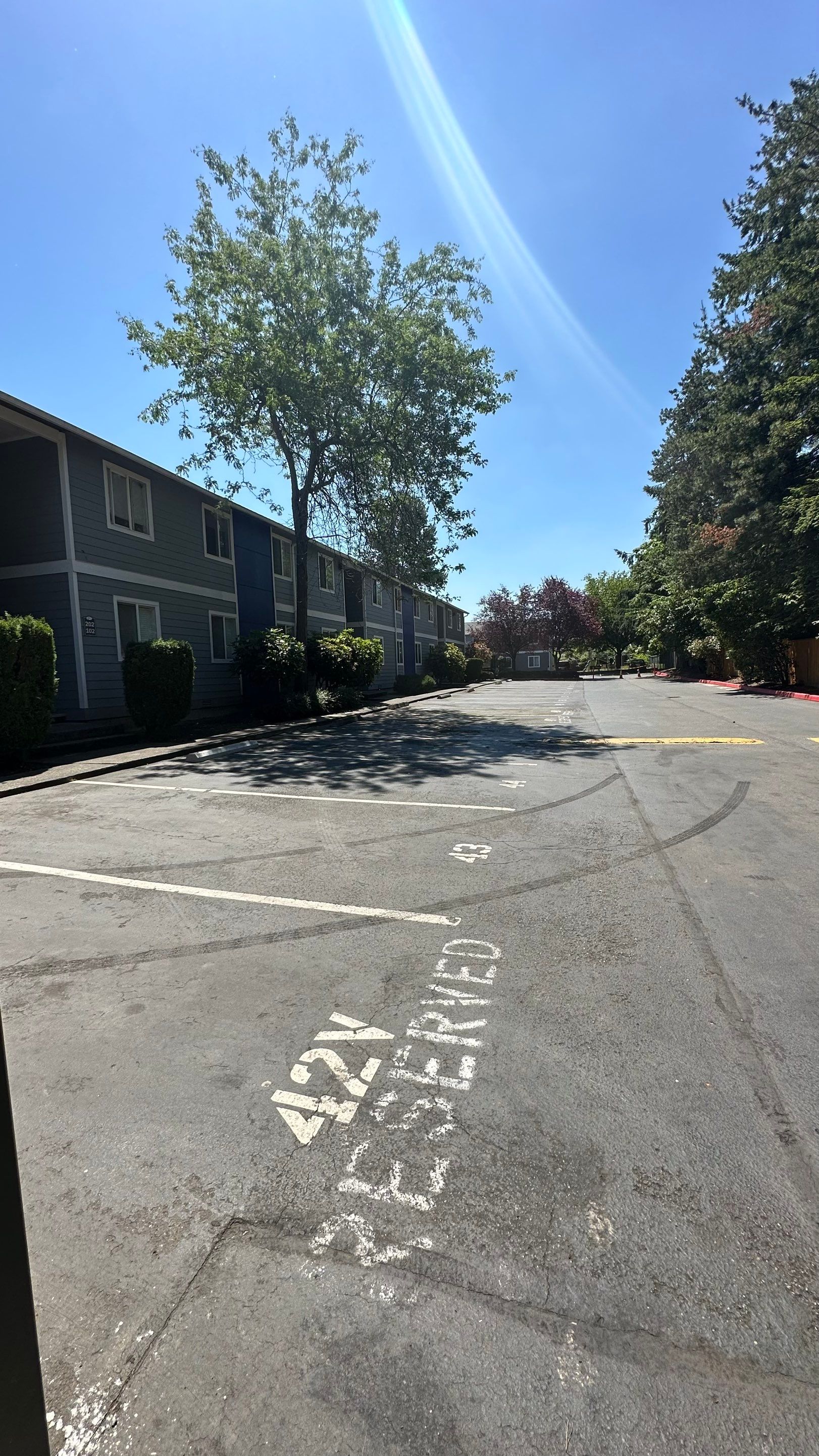 Chaz | Driveway Repave, Asphalt Project  by Jireh Asphalt & Concrete Inc 