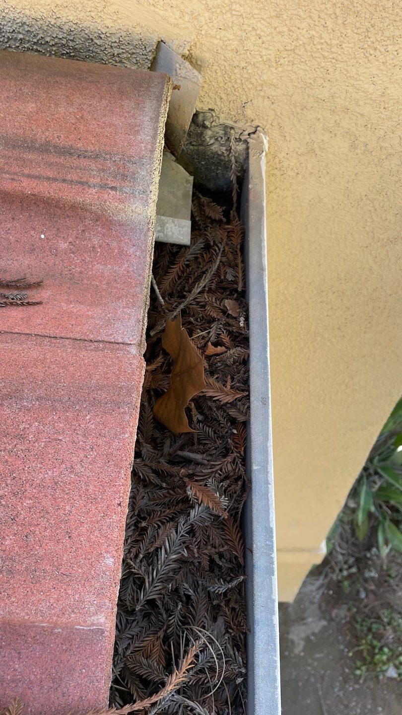 12-Unit HOA Gutter Cleaning in San Jose by All One Solar Shine