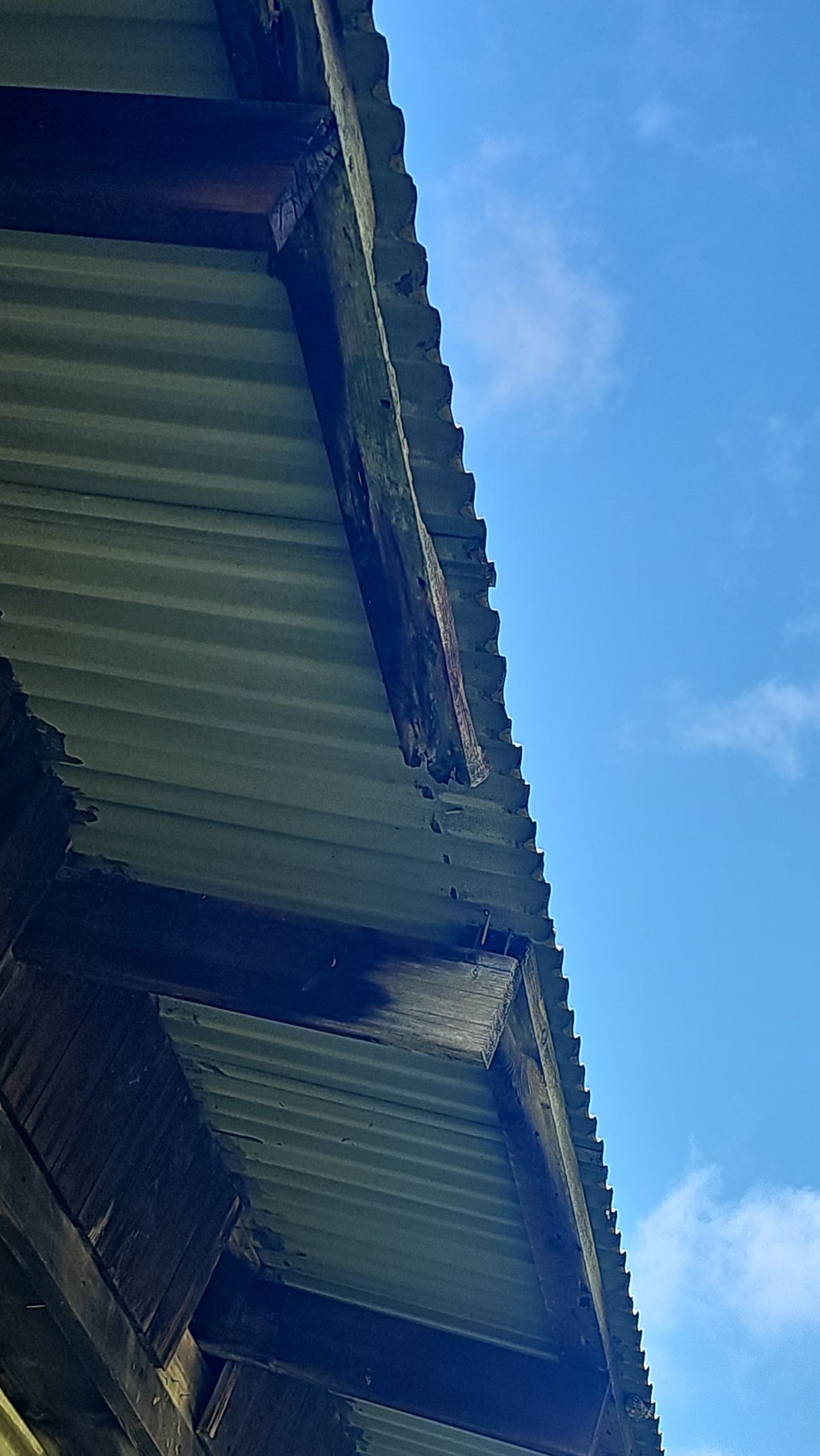 Weather Max, Color: Copper Metallic by Eagle Eye Roofing