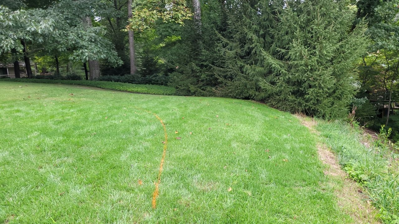 Pool  by Back To Nature Landscaping & Construction