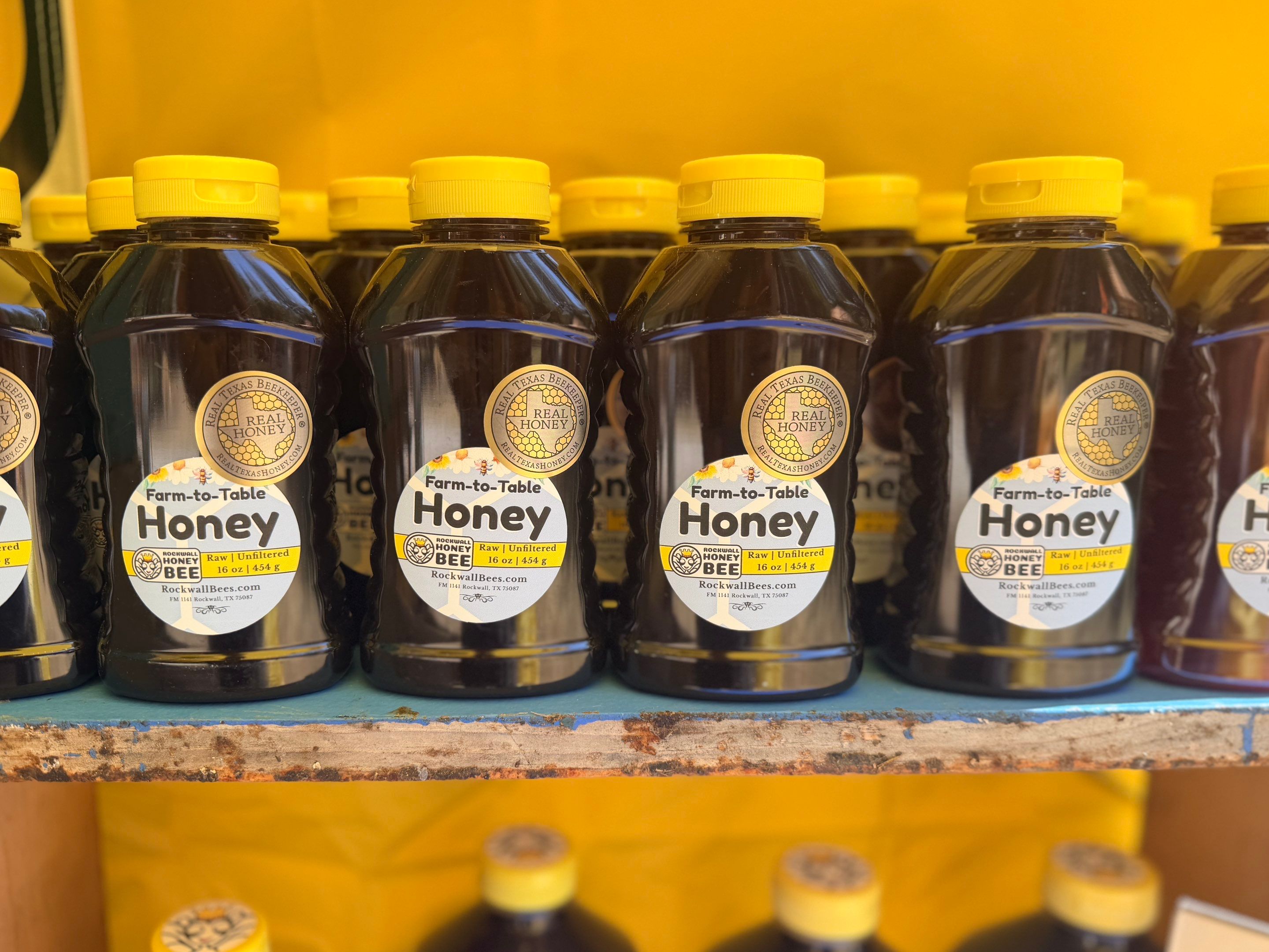 Texas Mead & Music Festival by Rockwall Honey Bee Company