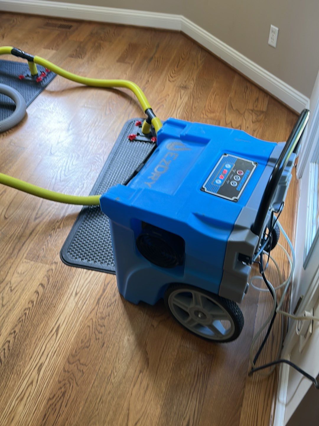 Project in Waterford Twp by EzDry Water Mitigation & Property Restoration