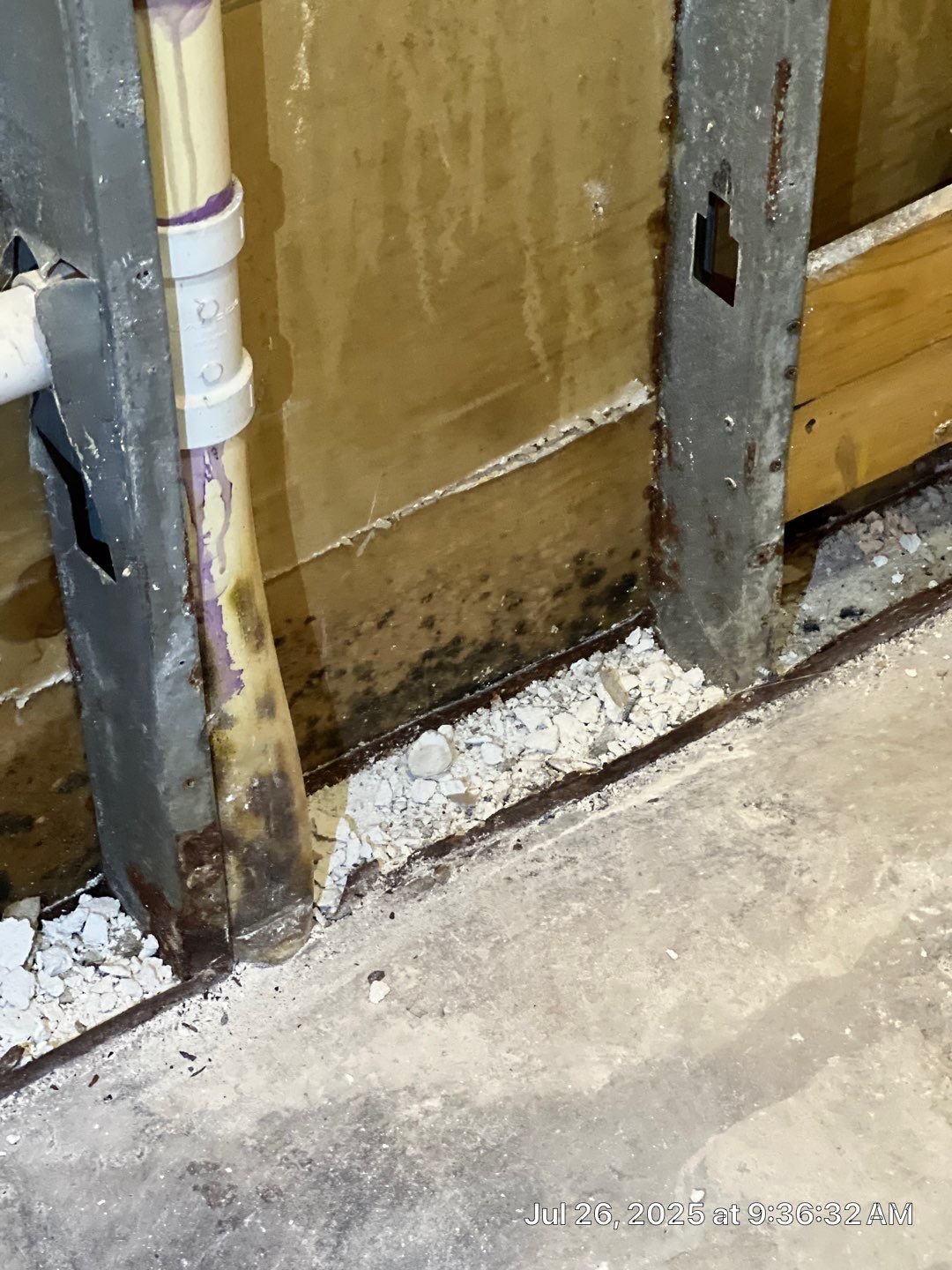 Mold Removal In Clearwater Florida by Ampm Restoration Services