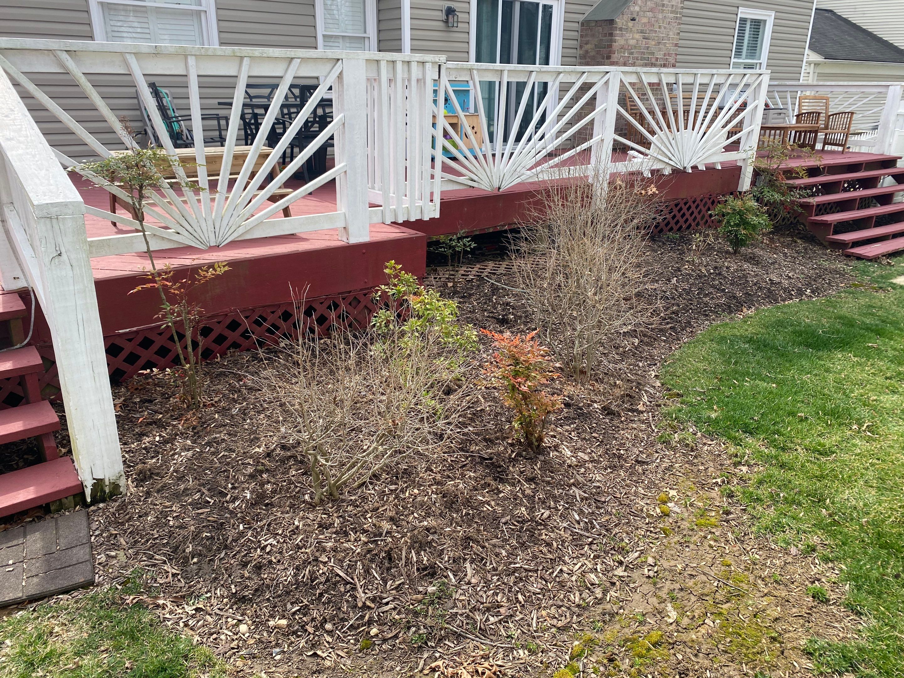 Landscape Design and Cleanup by The Smet Companies, LLC