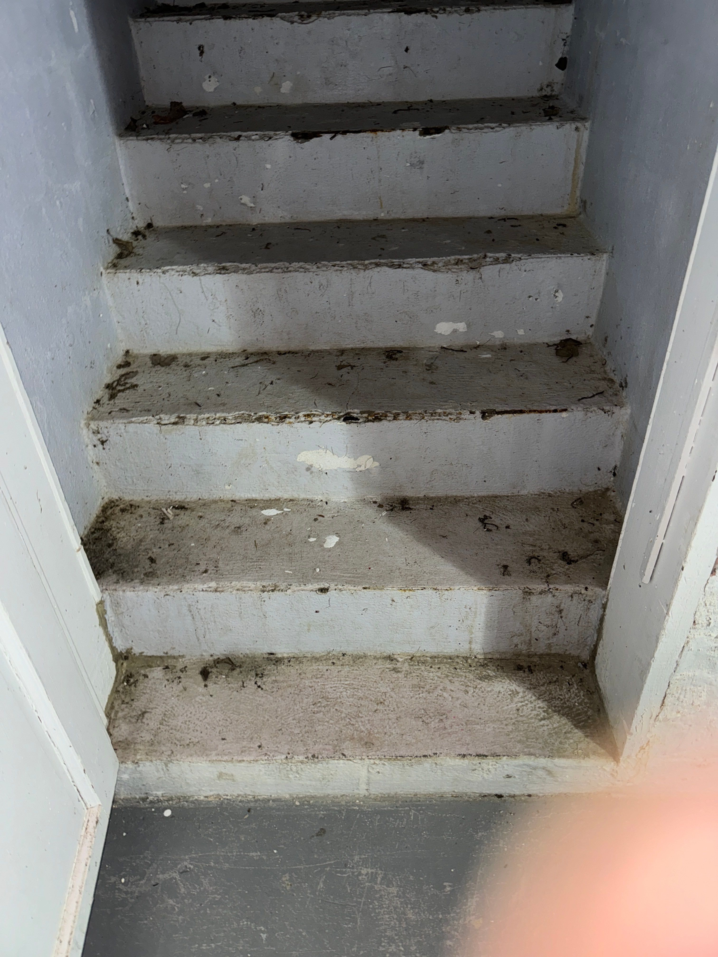 Interior French Drain Boonton NJ by Pure Service Pro, LLC 