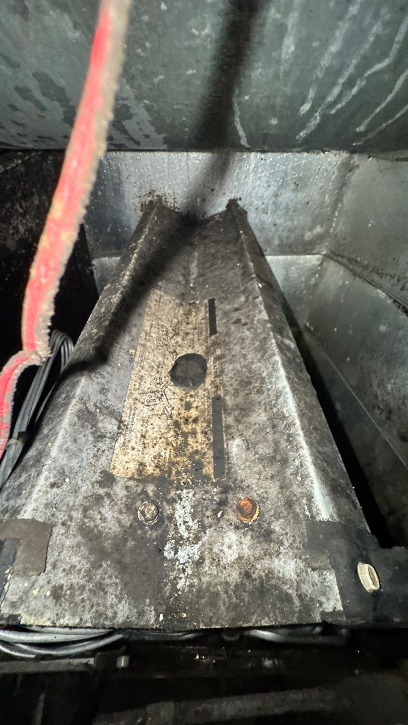 Extremely Dirty Air Duct Cleaning in Fruitland Park by Hygienic Air, Inc