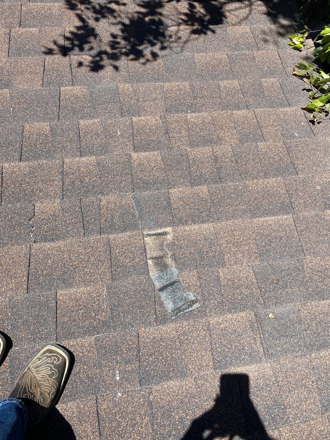 Sylvia's Full Re-roof by All Storm Roofing & Construction