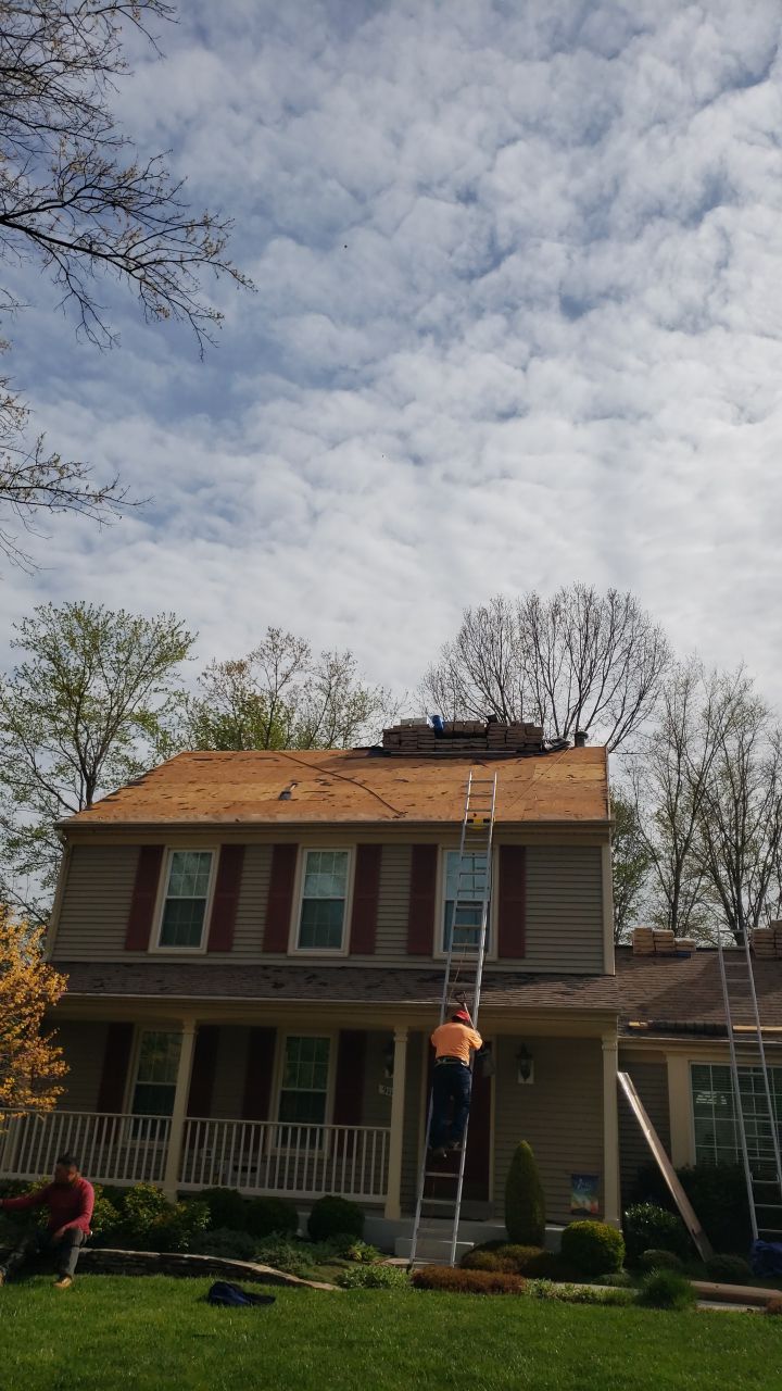 Springfield Certainteed Landmark Pro Designer Shingles by RM Banning, Inc.