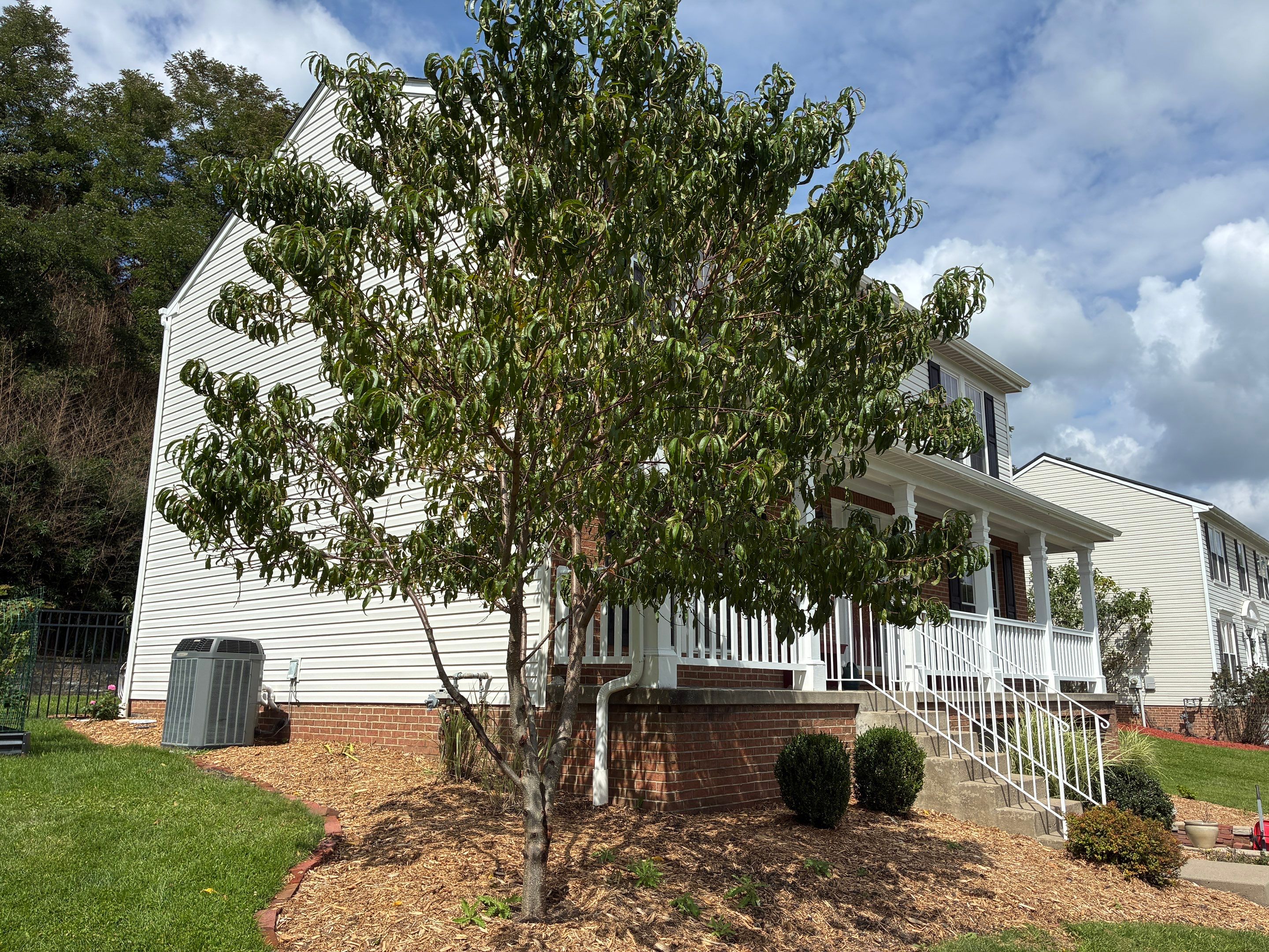 Full House Siding Renovation with Tyvek Wrap in South Park by Ideal Siding Pittsburgh