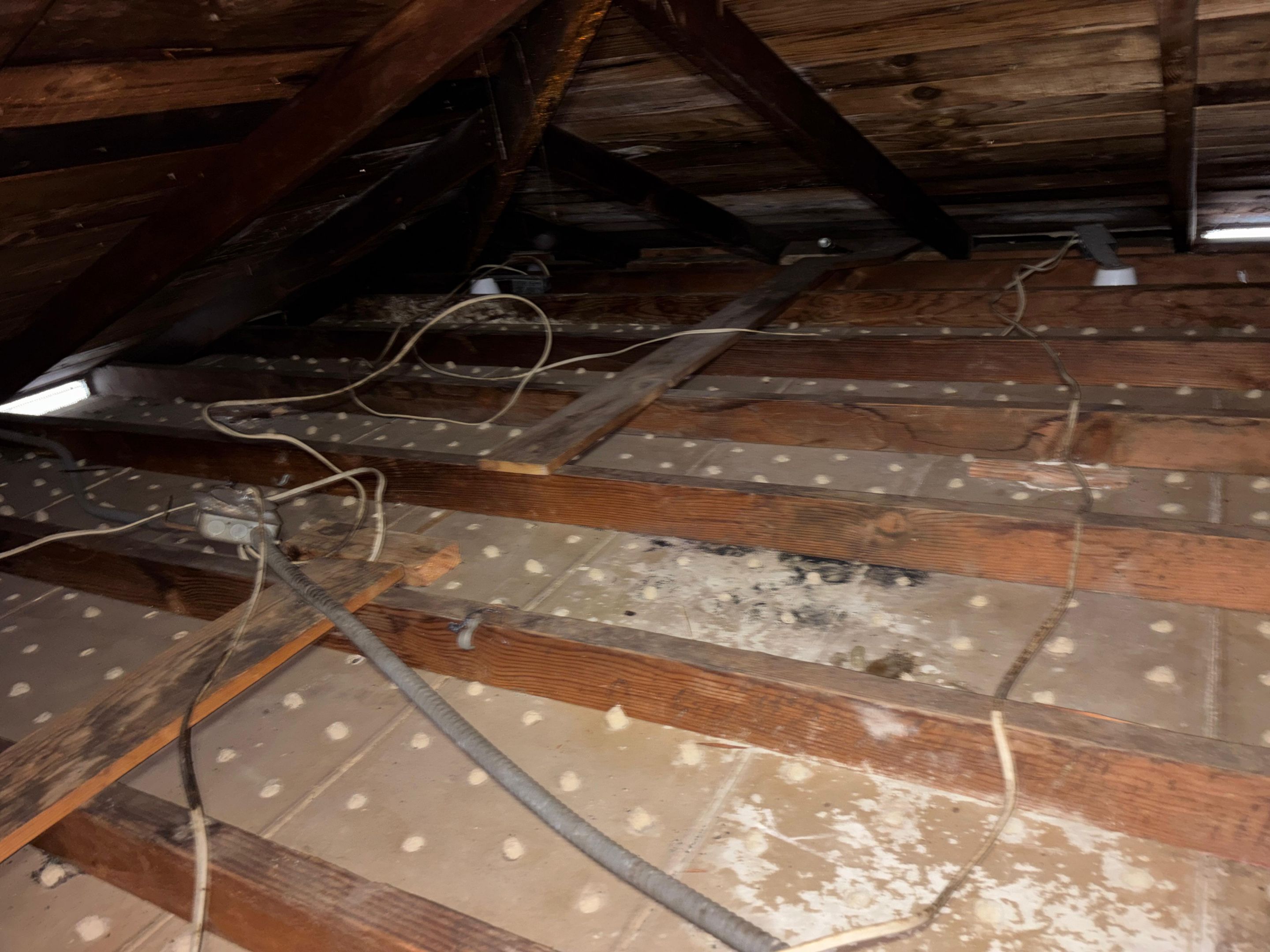 Project in Venice by Insulation Labs