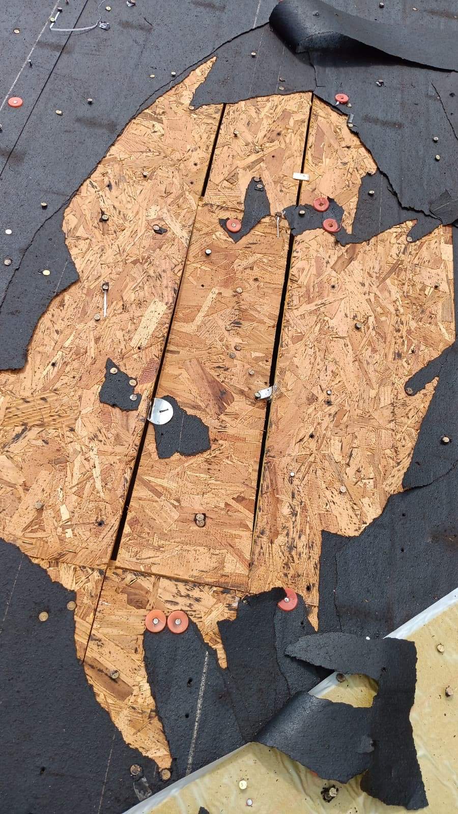 Project in Sachse by Rhino Roofing and General Contracting, LLC