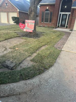 🌱✨ Angelica & Leandro’s Backyard Renewal – A Fresh Start with New Sod