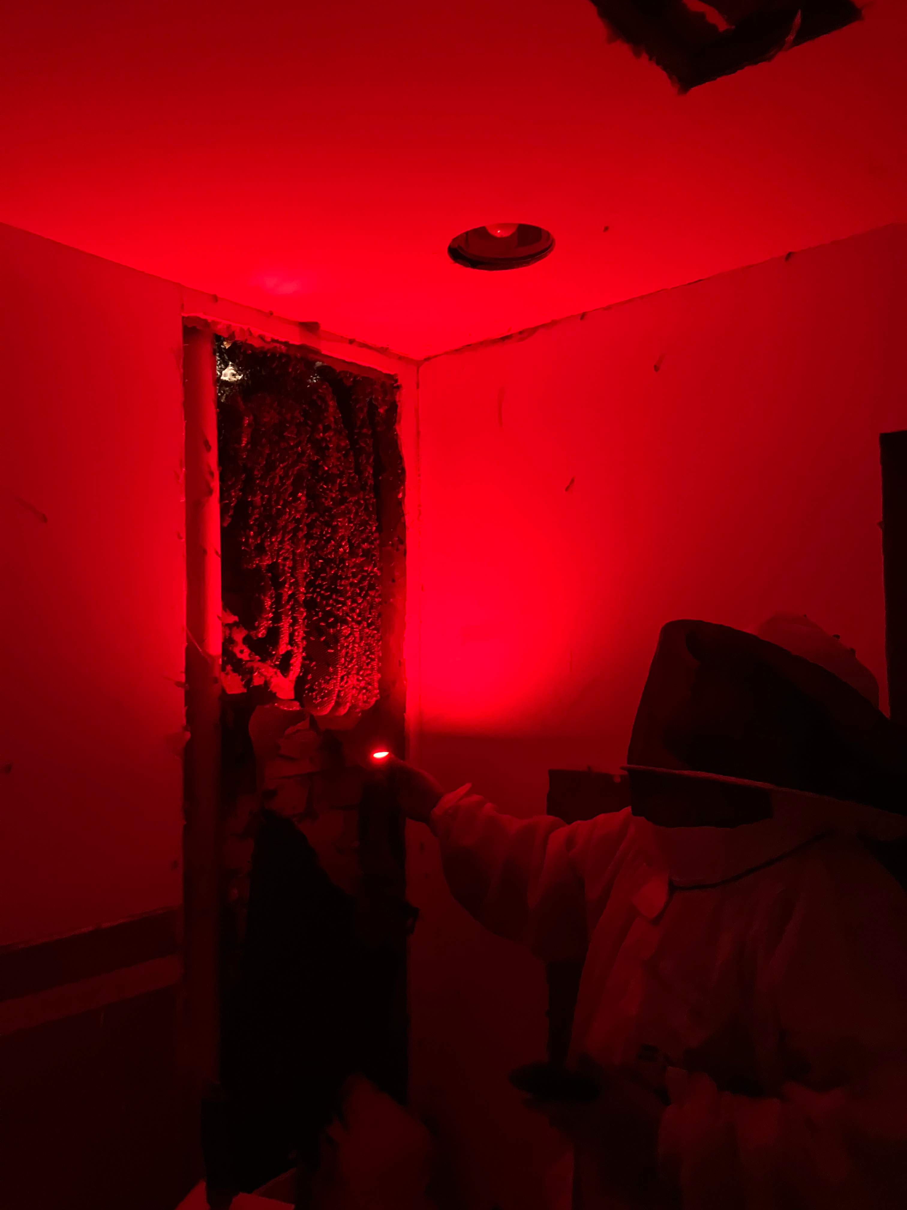 Improper Repair by Rockwall Honey Bee Company