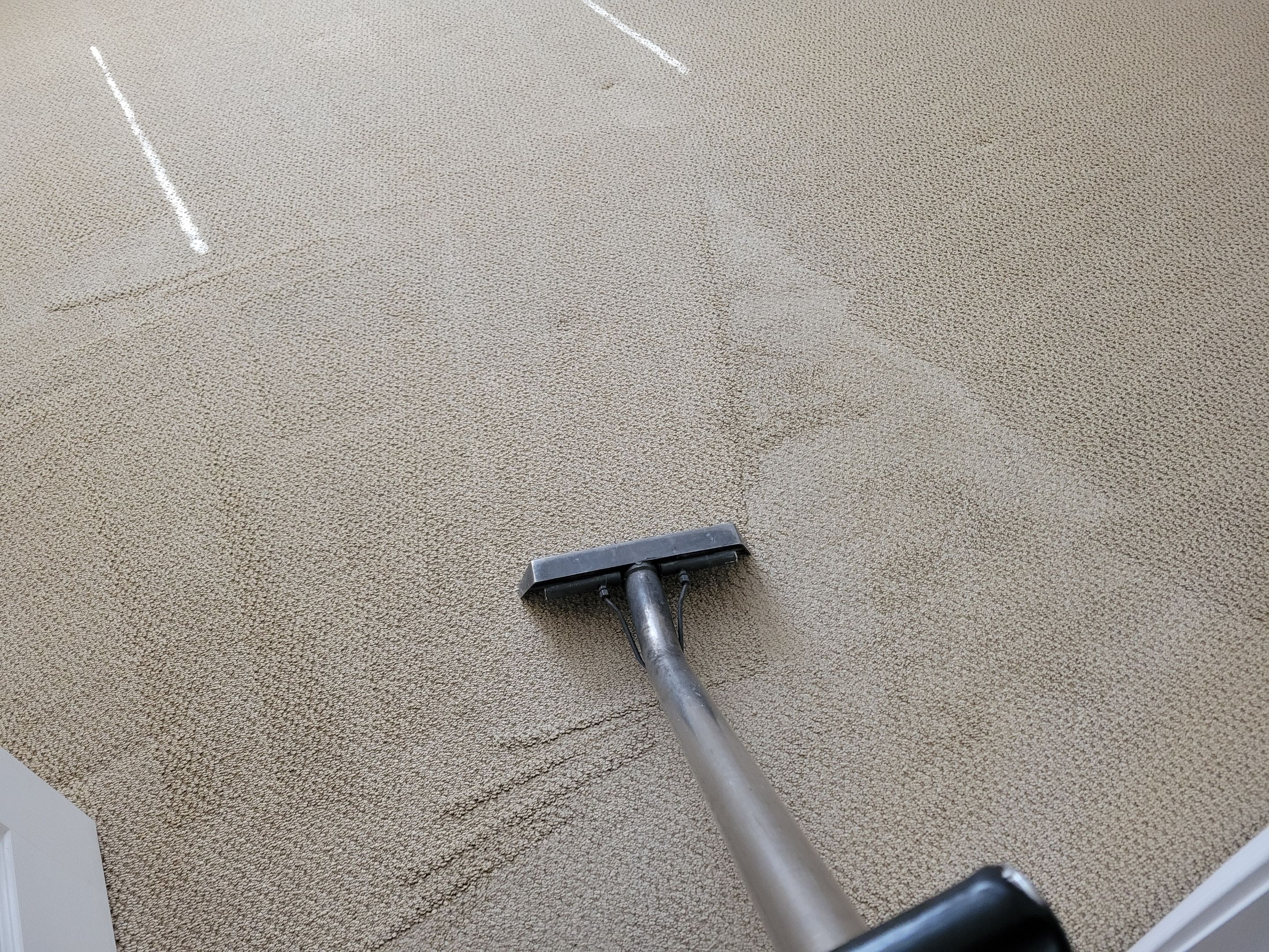 Ardent Carpet Restore LLC featured photo.