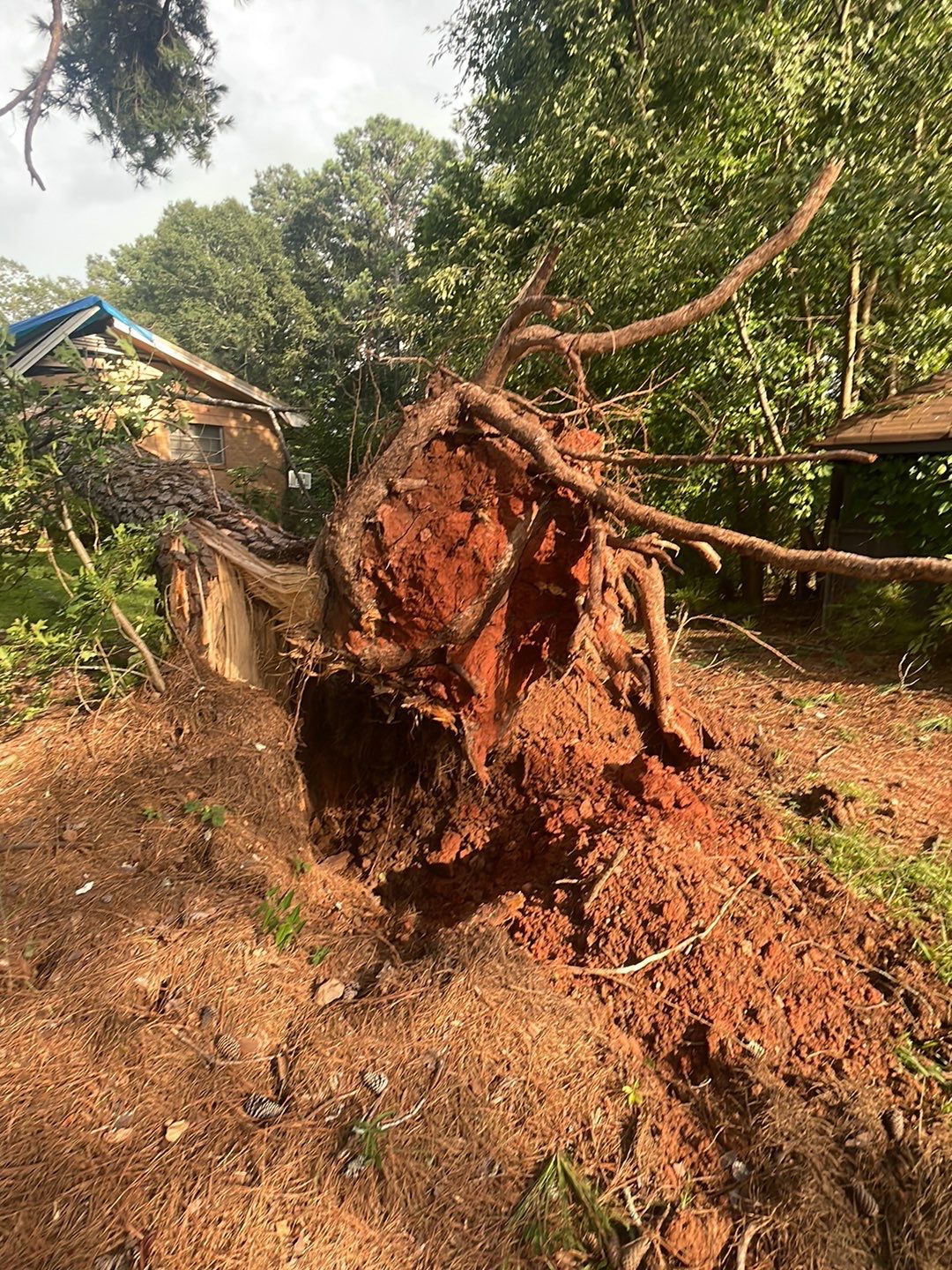 Emergency Roofing Services Metal Roof Replacement (Storm Restoration) by Mosaic Roofing Company