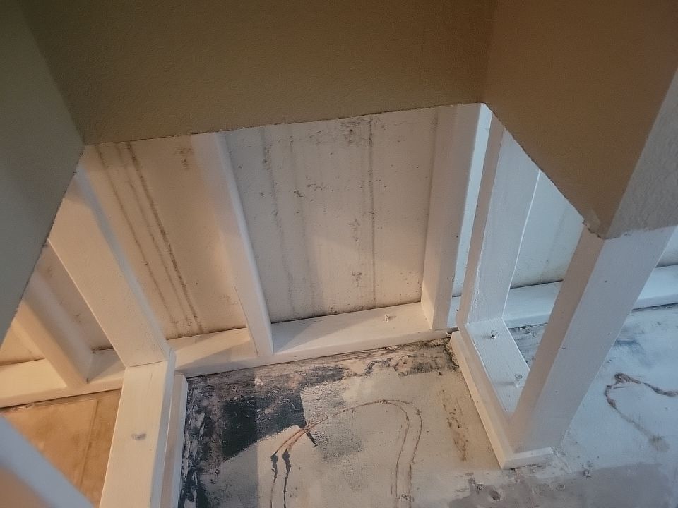 Mold Damage by Accountable Home Services