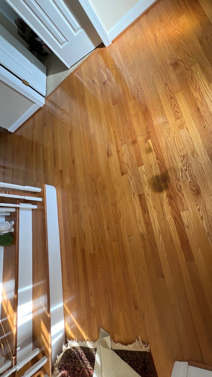 Hardwood Renewal  using Finish Em by Monster Clean