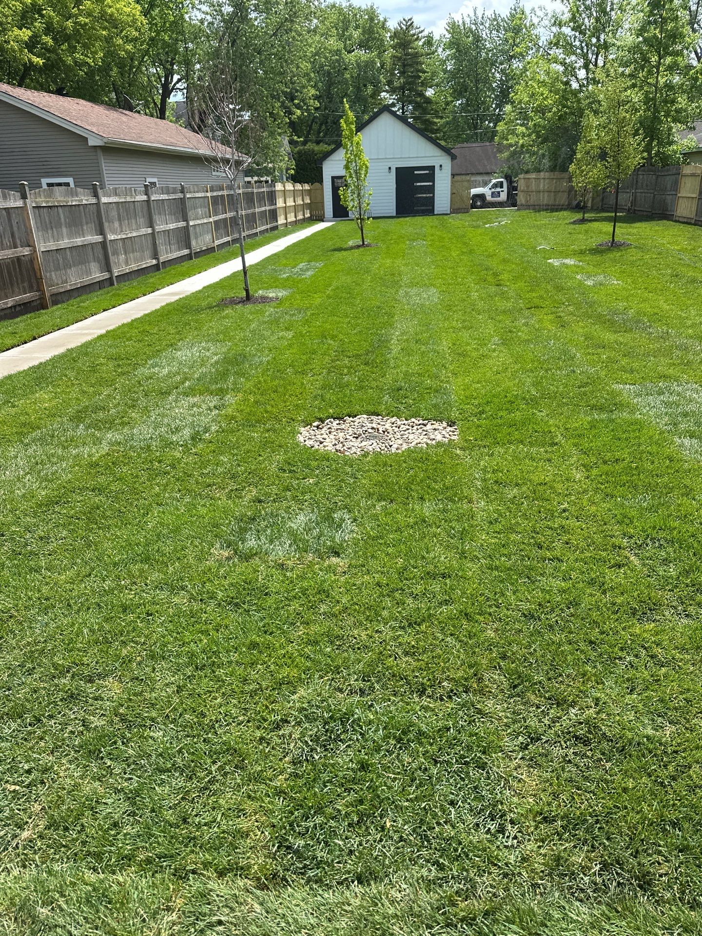 Tom D. - Wilmette, IL by A&N