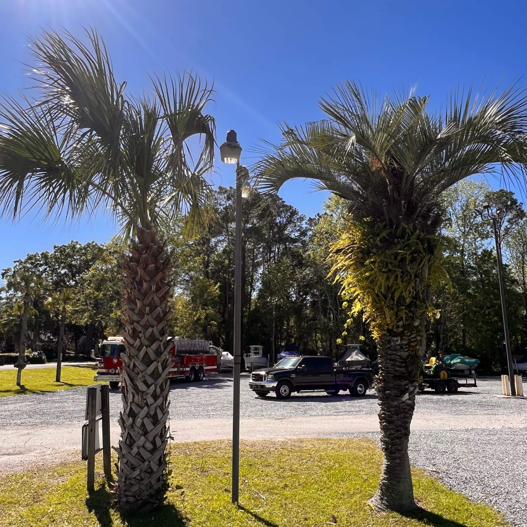 Tree Work | Florida Gun & Tackle by ProGreen Services