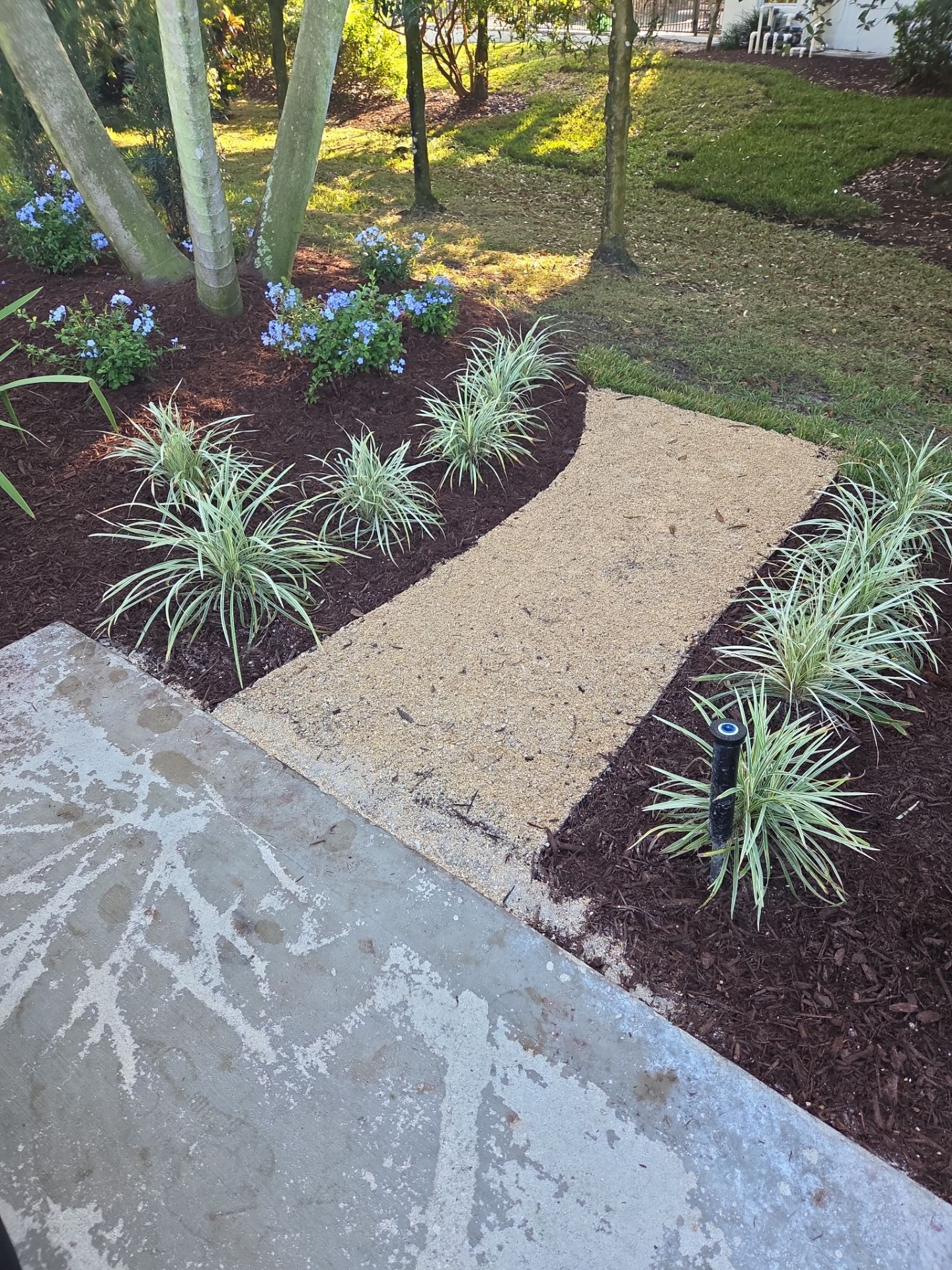 🌴 Landscape Removal and Install in Palm City by Alpha Zeta Enterprises Inc