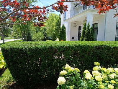 Lisa C. - Arlington Heights, IL
