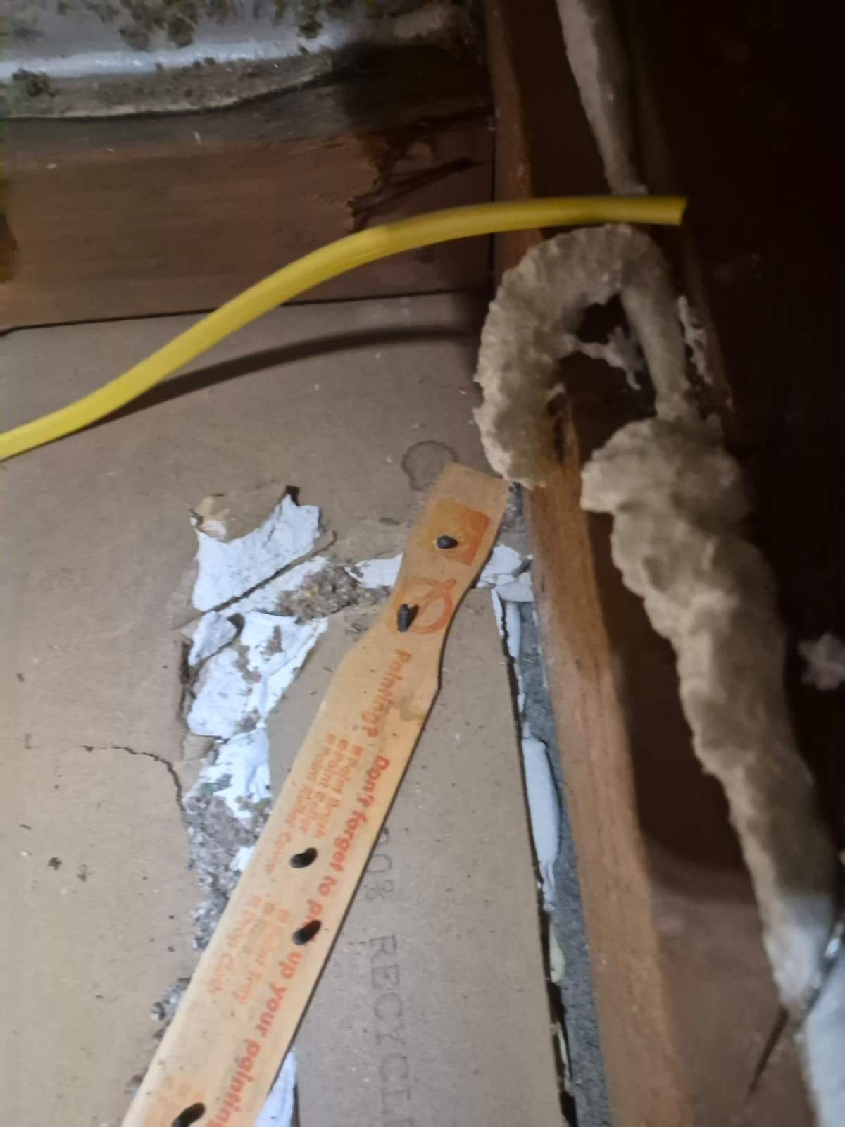 Project by Advanced Attic Solutions by Advanced Attic Solutions