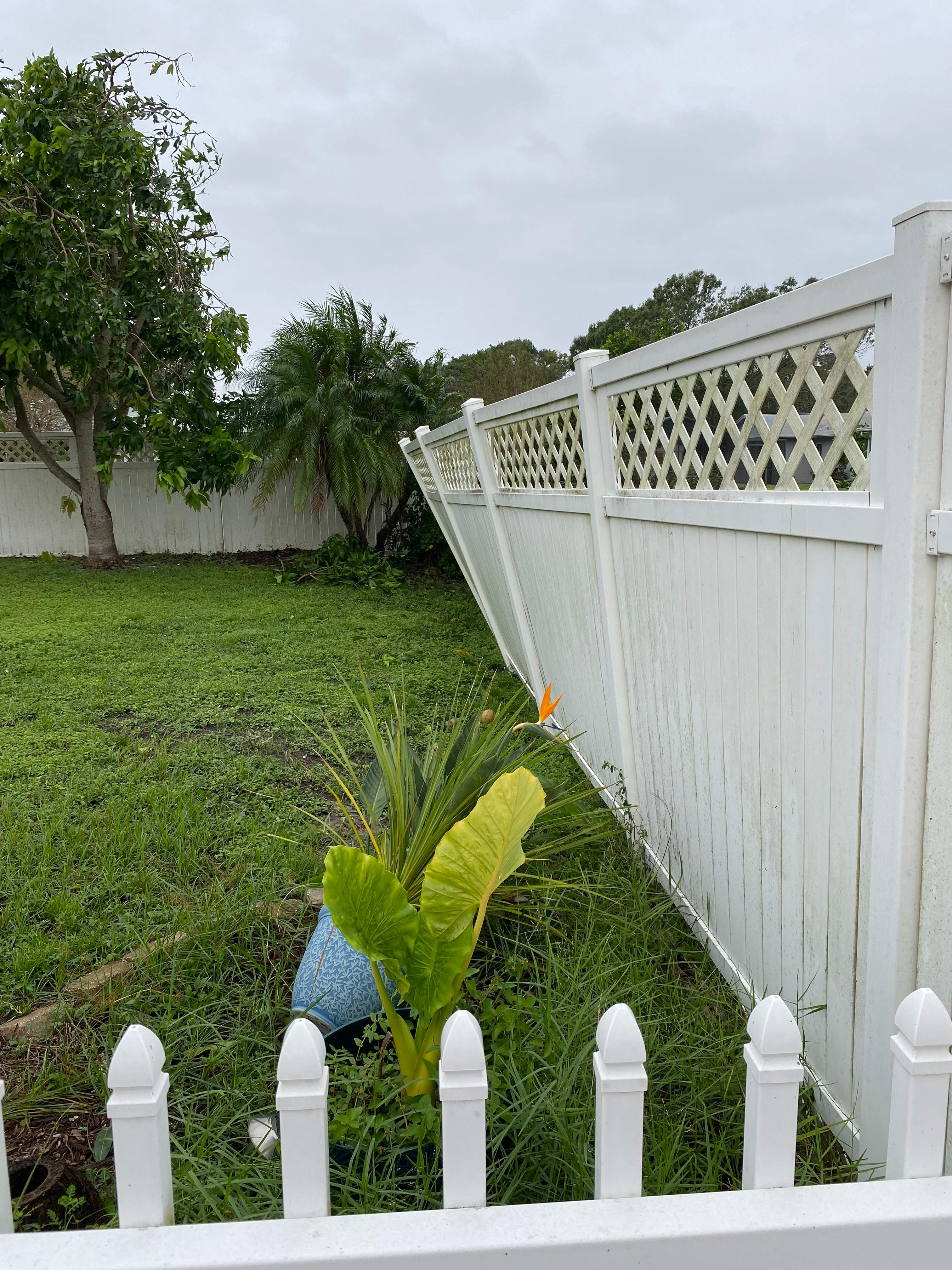 Vinyl Fence Installation using Vinyl Privacy Fence  by Asap fence and gates, LLC