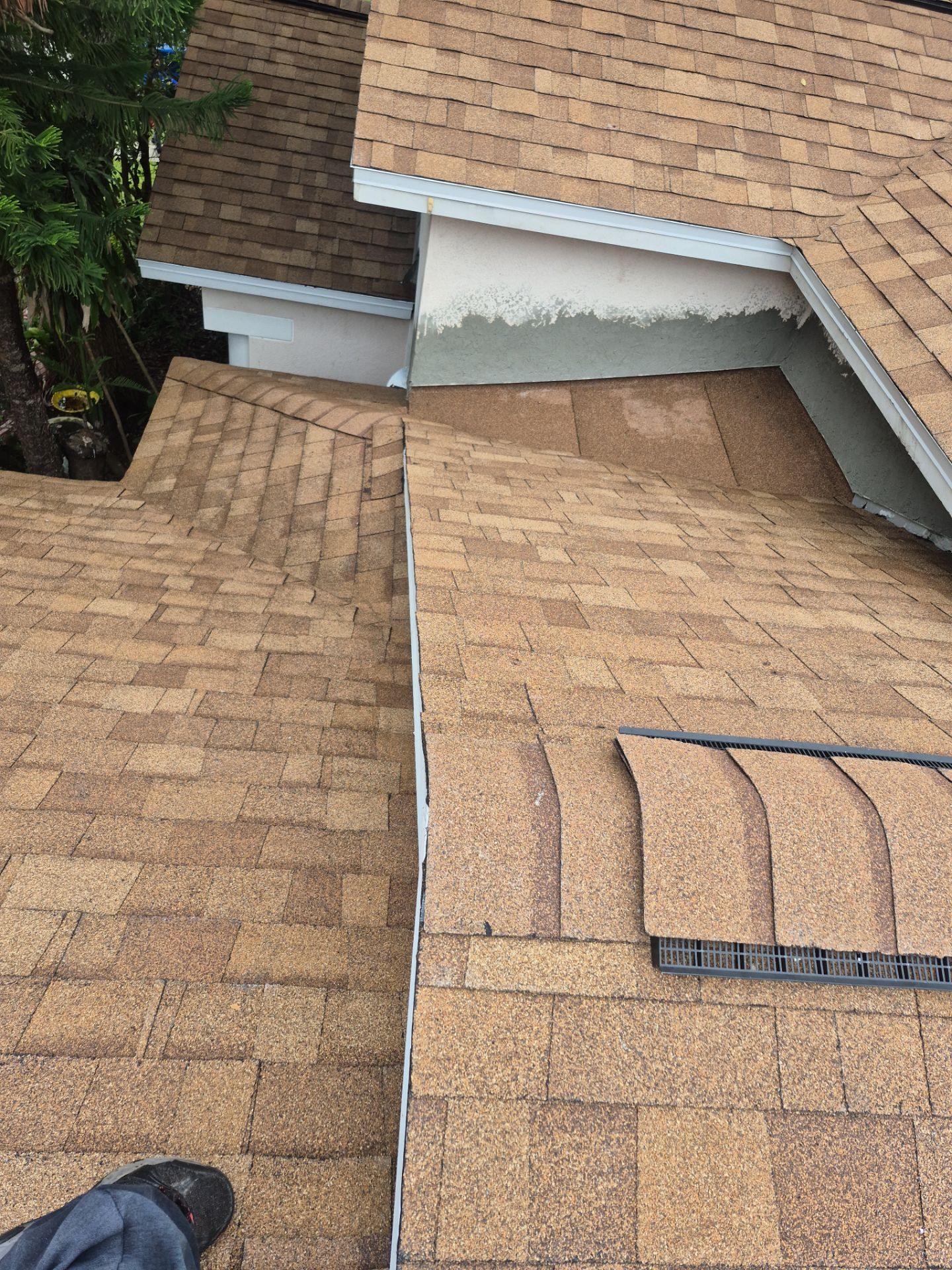 Roof Replacement in Lithia, FL by Shingle Masters Roofing
