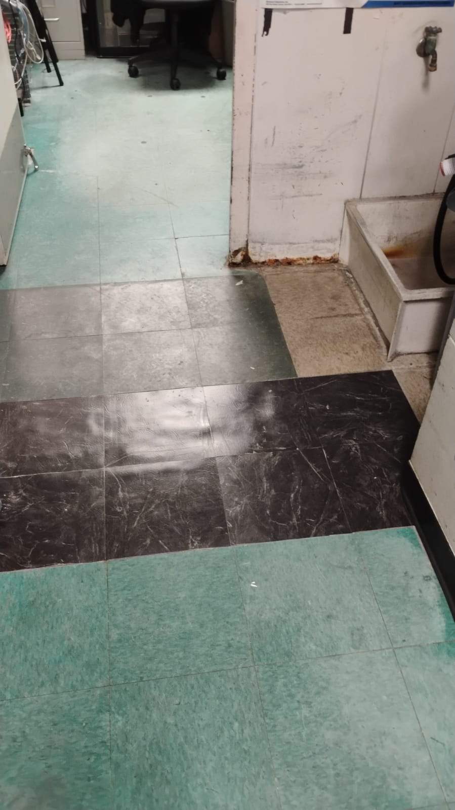 Vinyl Flooring  by DPI Pressure Washing LLC