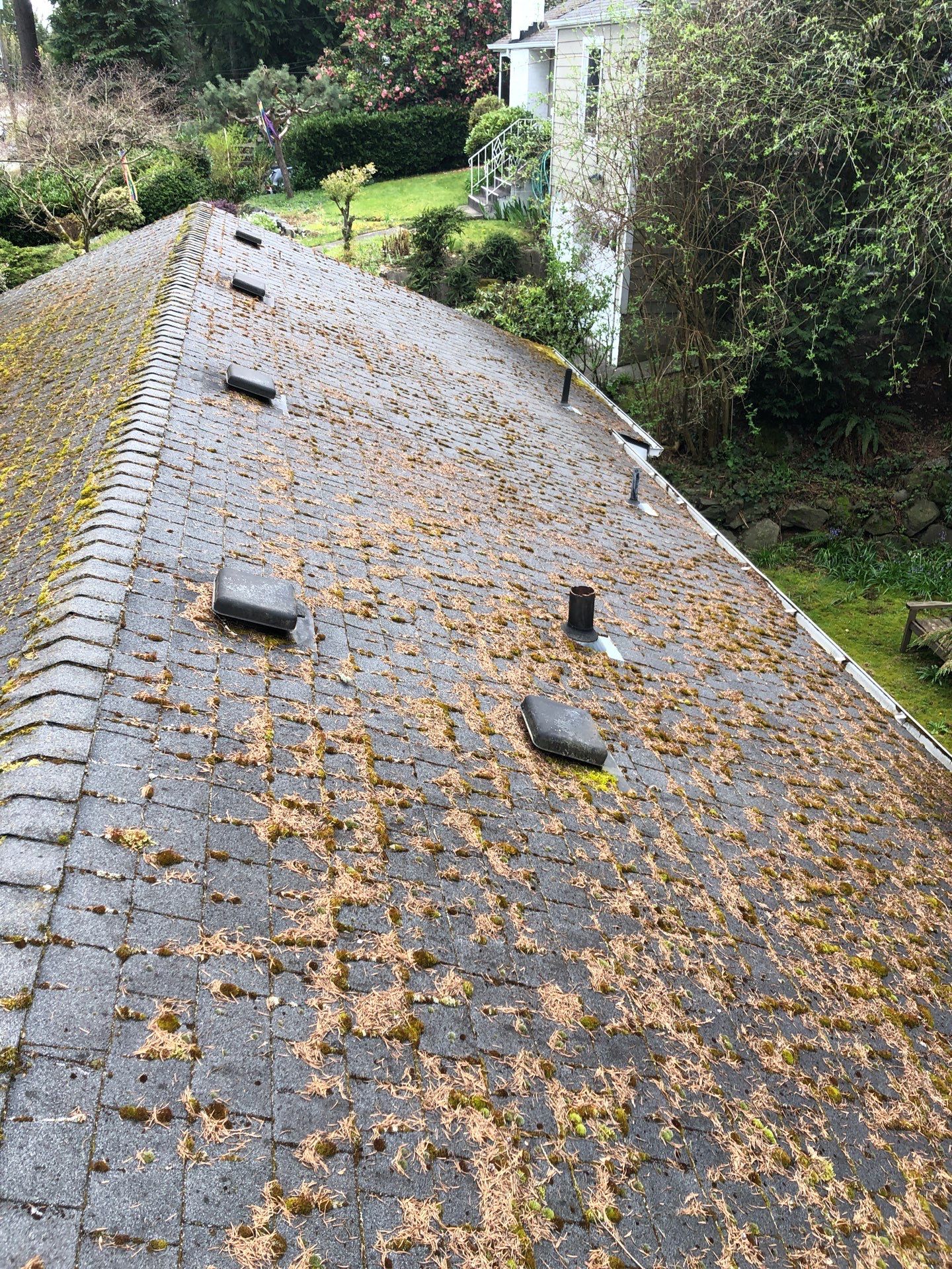 Project in Seattle by Connolly Construction Company