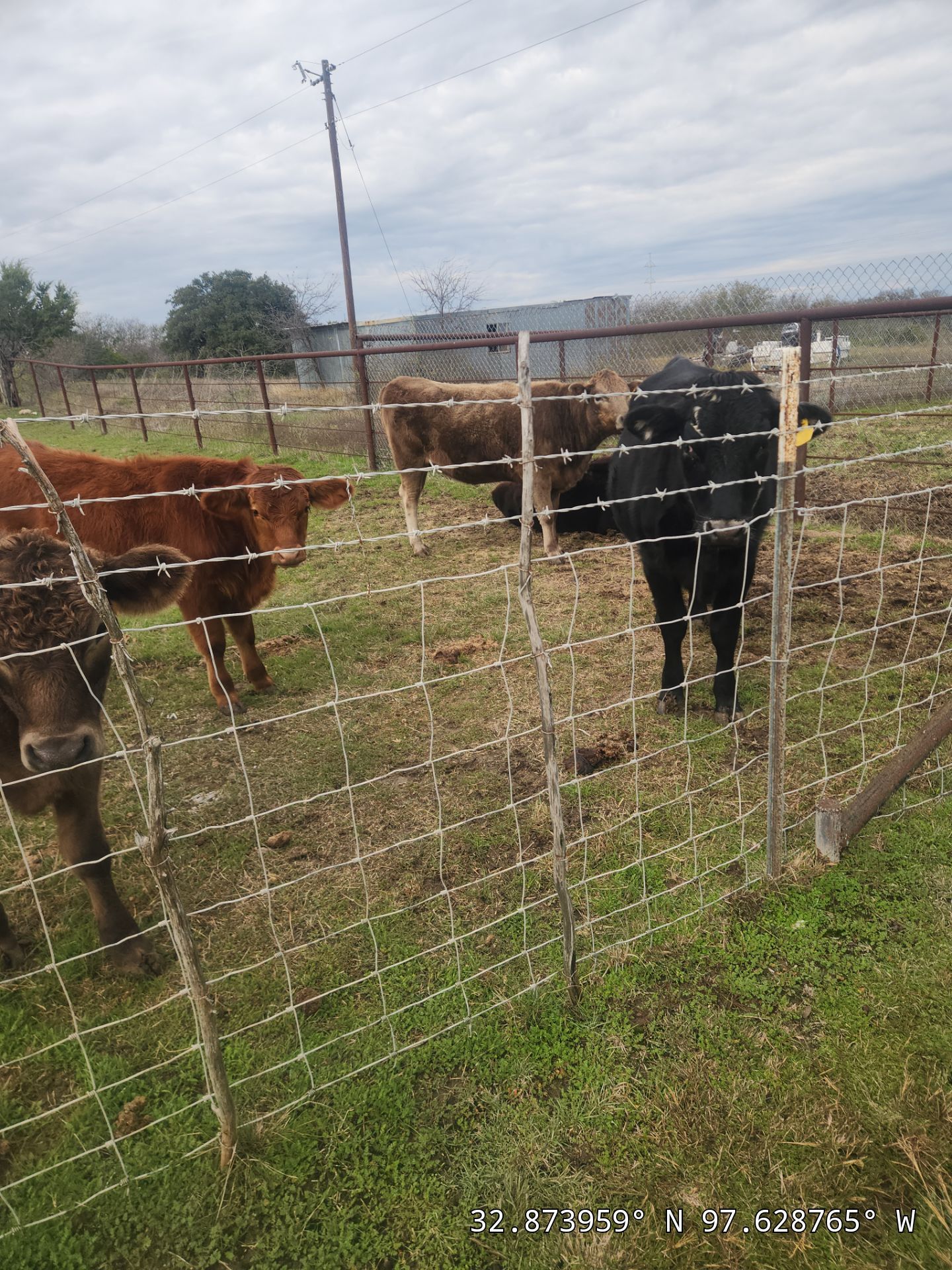 Project in Weatherford by Lonestar Roofing and Restoration LLC.