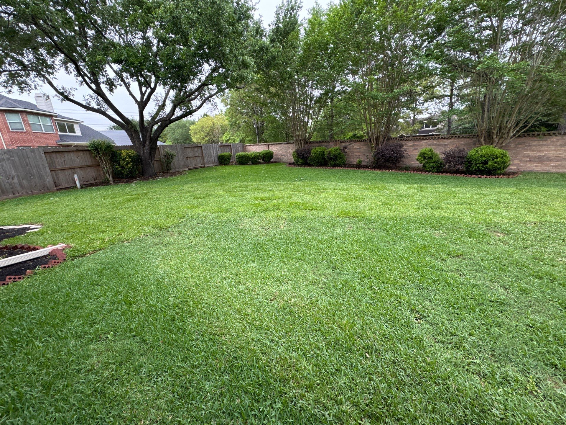 🌿 Mrs. Coleman’s Lawn & Drainage Restoration by Texas Urban Elements