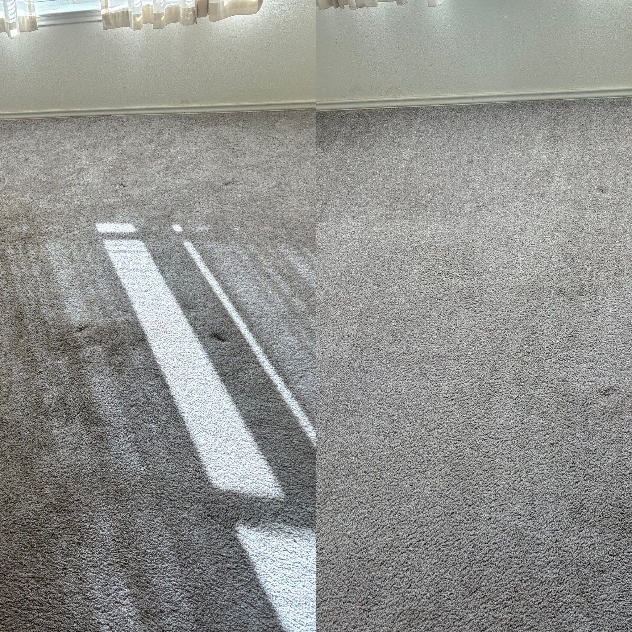 the service is professional carpet cleaning removing stains and dirt resulting in a refreshed and clean appearance